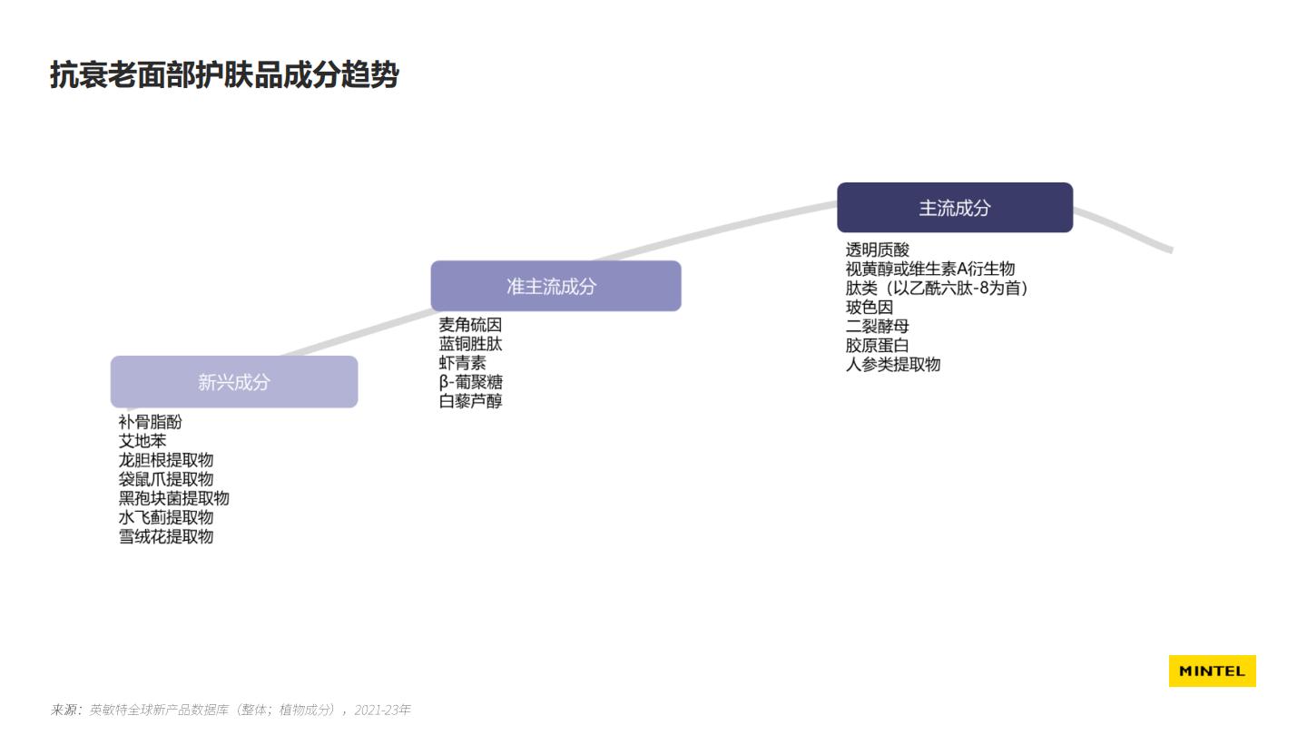 2024中国美容个护成分趋势报告-英敏特xCiE