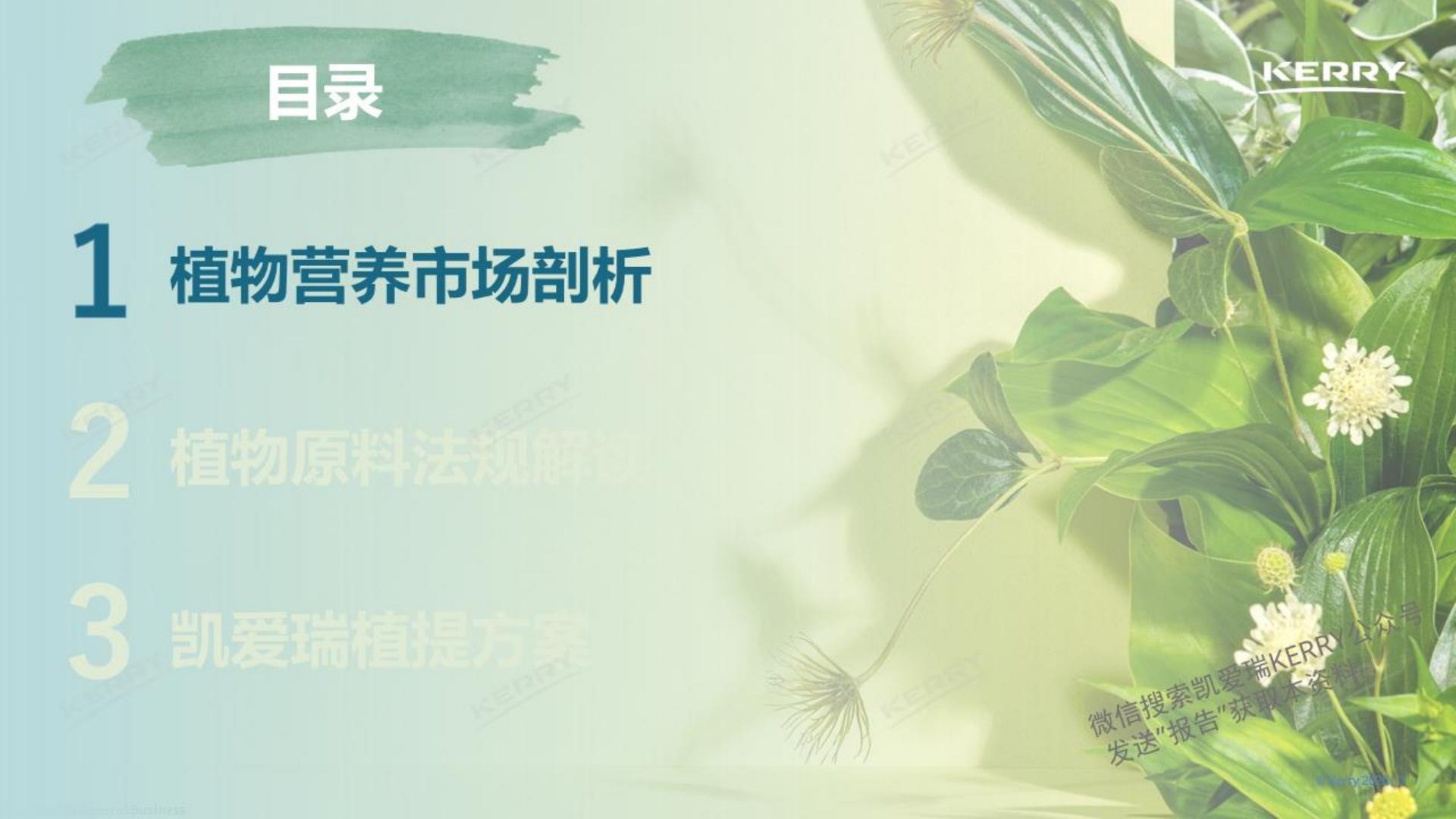 2024探索植物营养新潜能白皮书-凯爱瑞-36页.pdf