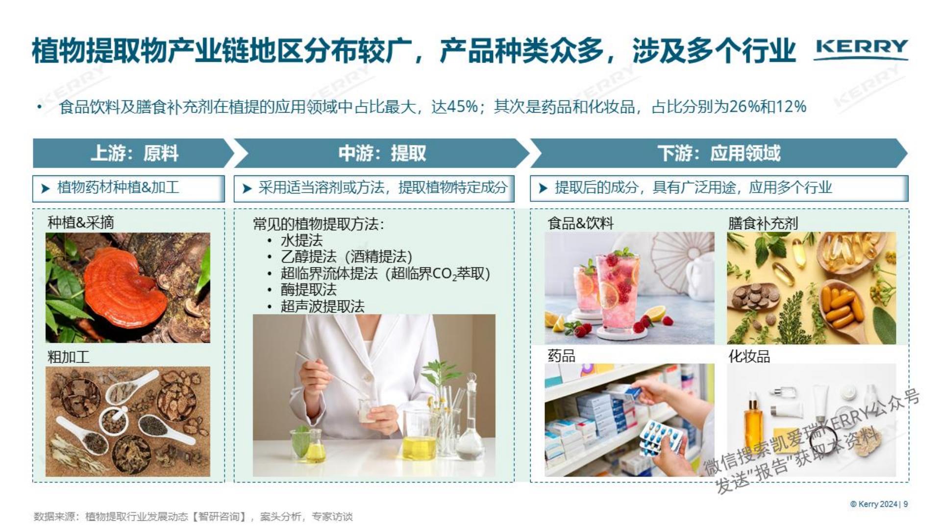 2024探索植物营养新潜能白皮书-凯爱瑞-36页.pdf