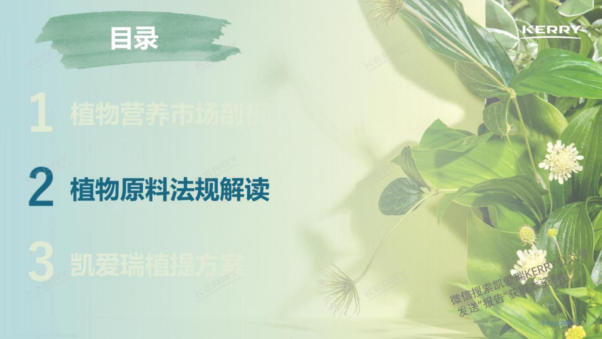 2024探索植物营养新潜能白皮书-凯爱瑞-36页.pdf