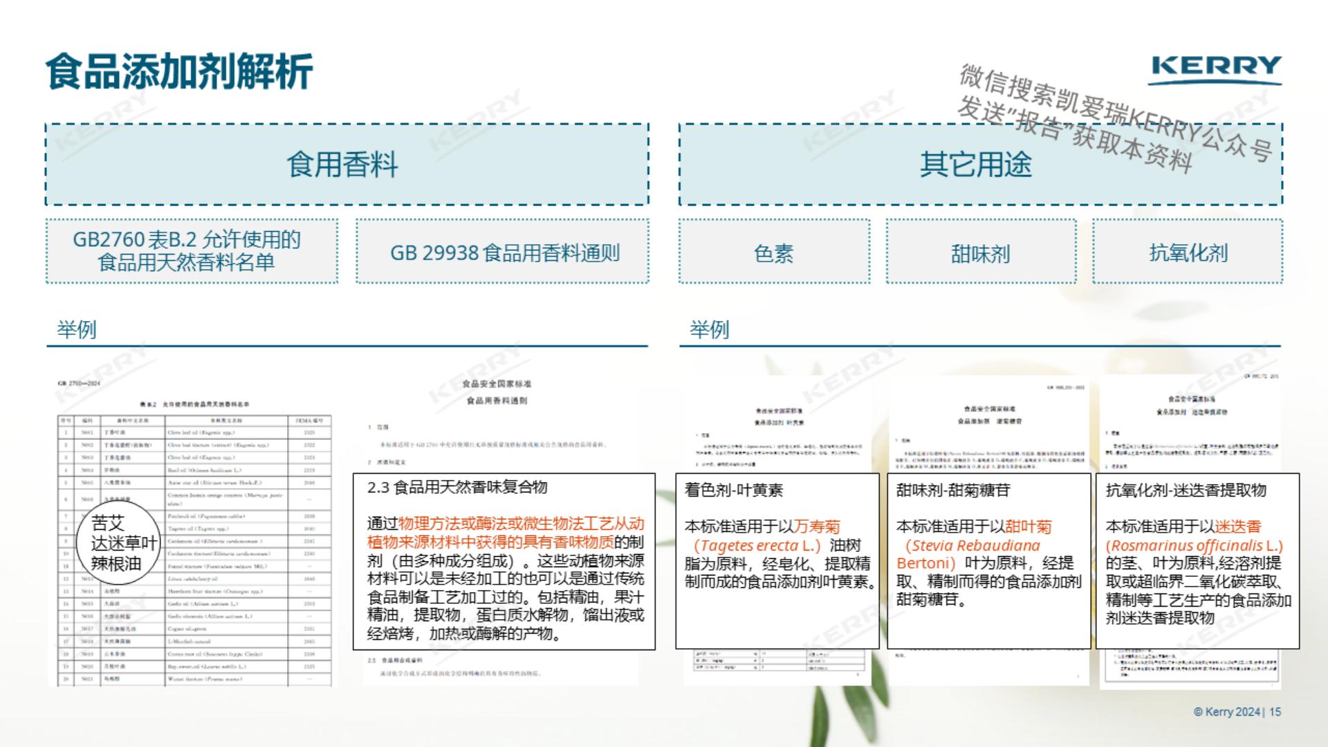 2024探索植物营养新潜能白皮书-凯爱瑞-36页.pdf