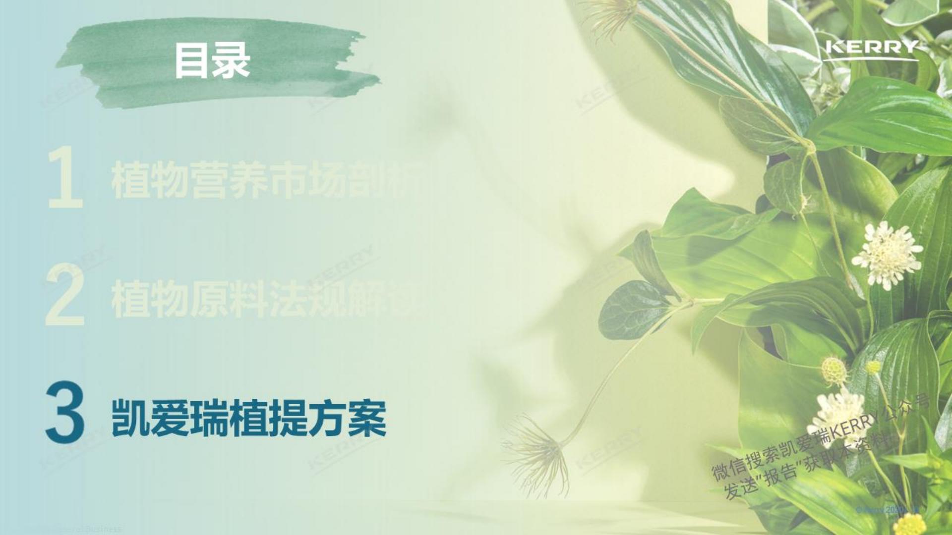 2024探索植物营养新潜能白皮书-凯爱瑞-36页.pdf