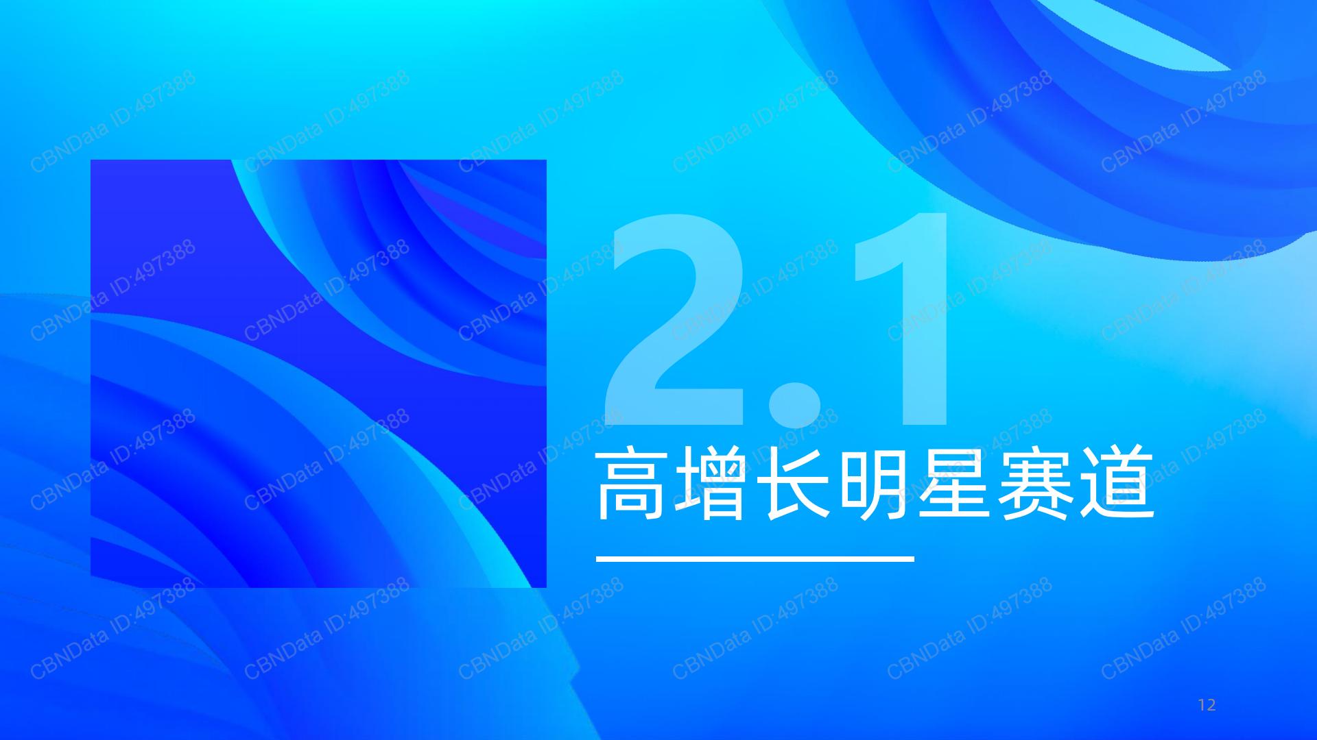 2024蓝帽子国内保健品消费趋势报告-CBNData-202311-41页.pdf