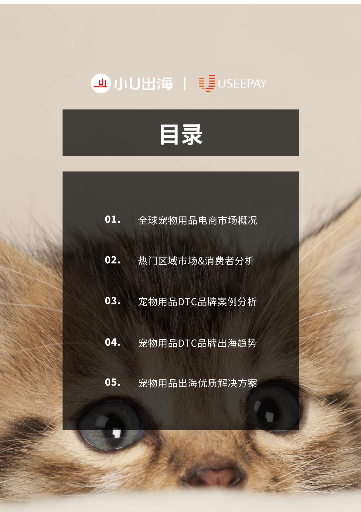 全球宠物用品电商市场分析-小U出海-2023-89页.pdf