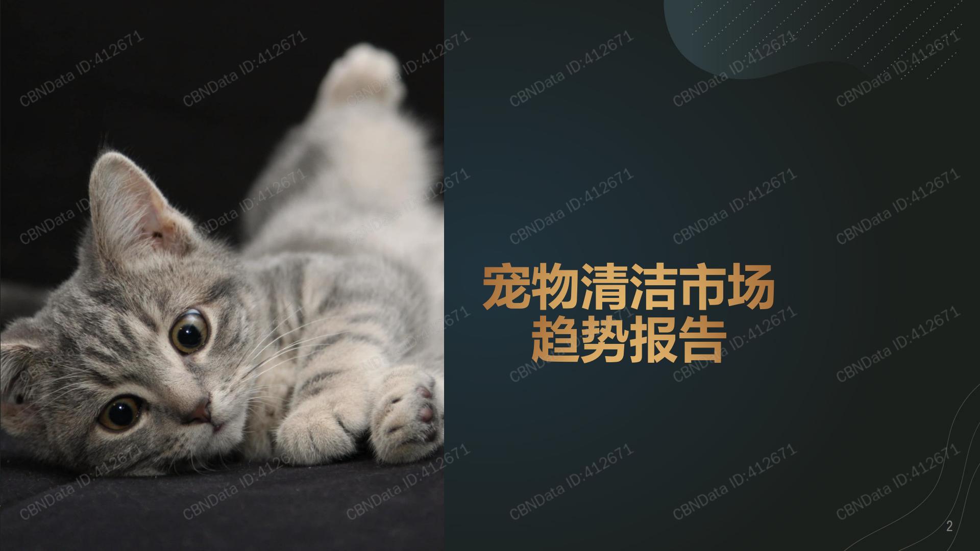 宠物清洁市场趋势报告-CBNData-2021-13页.pdf