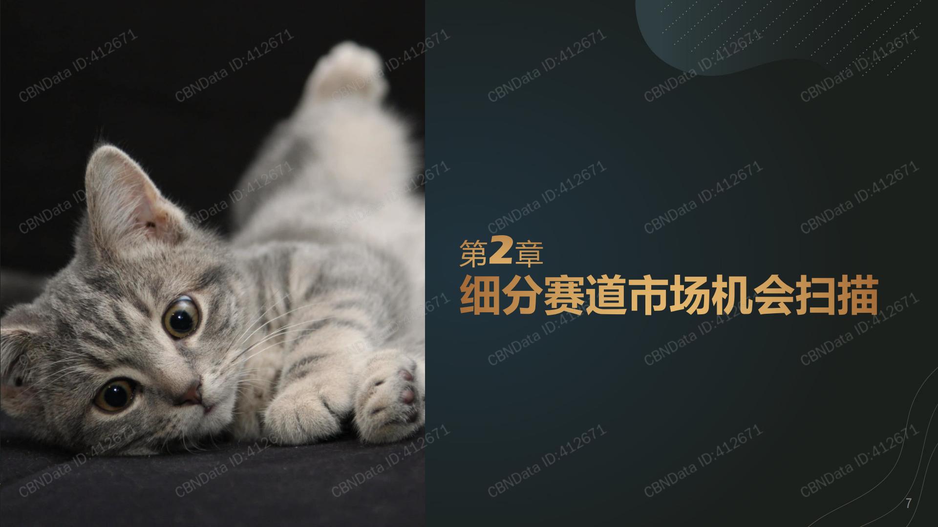 宠物清洁市场趋势报告-CBNData-2021-13页.pdf