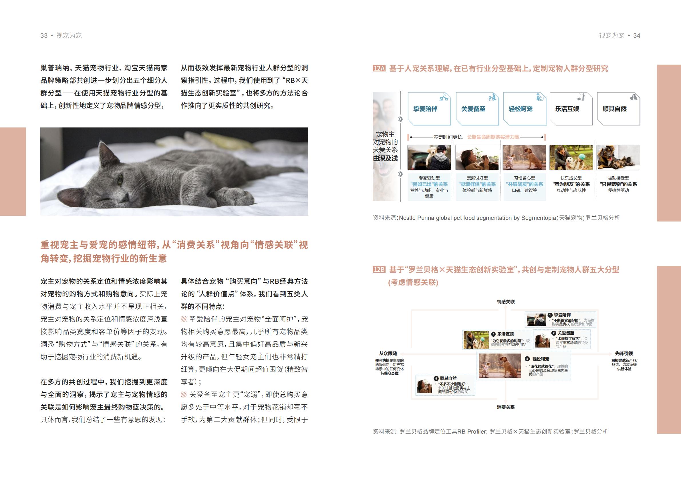 宠物品牌人群策略白皮书-天猫X罗兰贝格-202205-32页.pdf