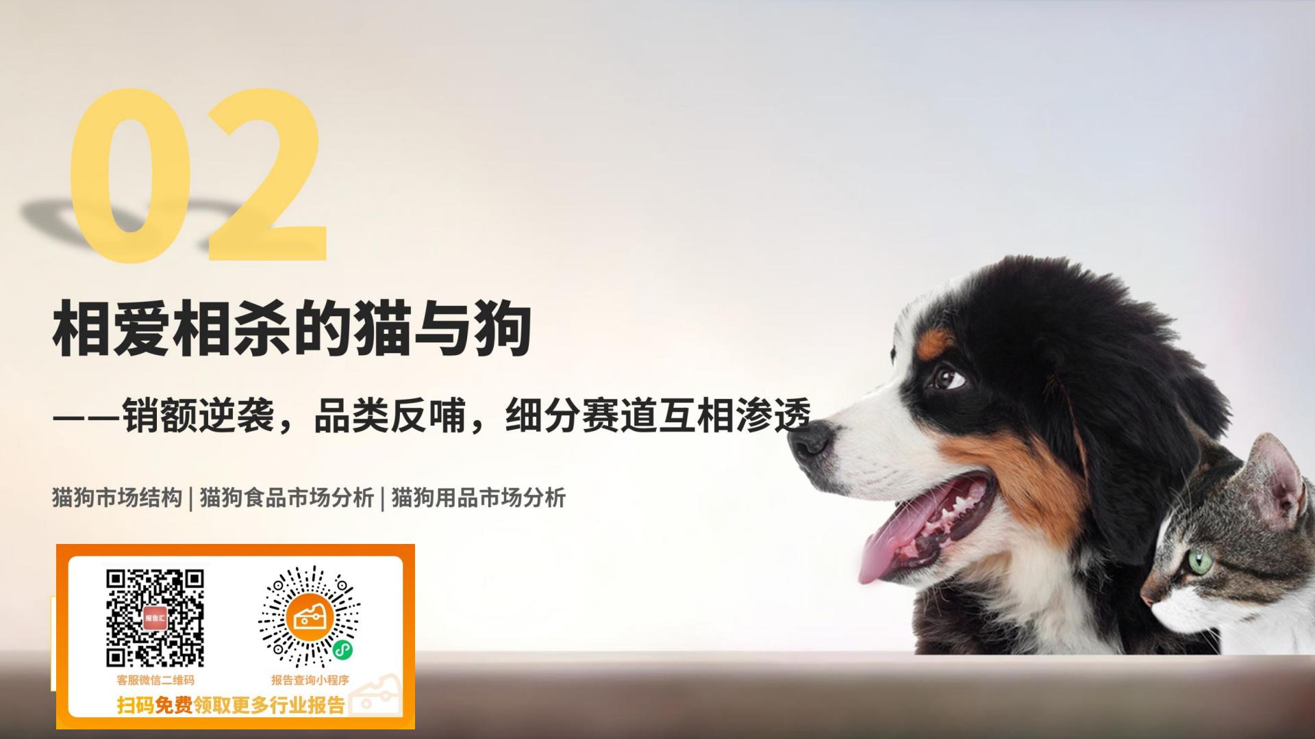 2024大宠物行业趋势快速报告-Nint任拓-35页.pdf