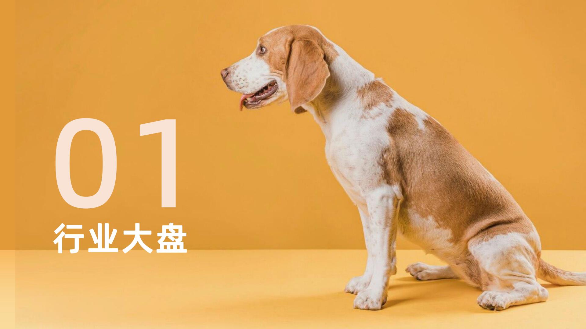 2023年抖音平台宠物保健品行业趋势洞察-果集行研-202401-27页.pdf