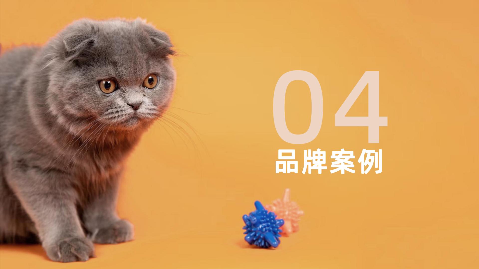 2023年抖音平台宠物保健品行业趋势洞察-果集行研-202401-27页.pdf