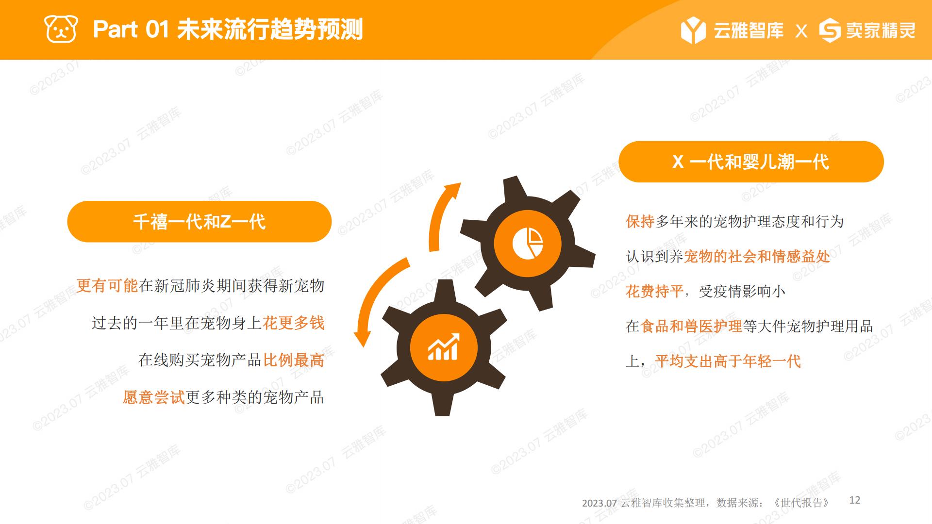 2023宠物喂食器行业分析报告-云雅智库-202307-59页.pdf