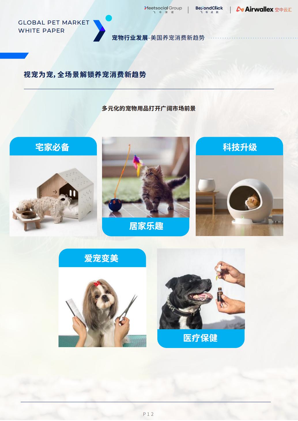 2022全球宠物市场白皮书-飞书深诺-2022-72页.pdf