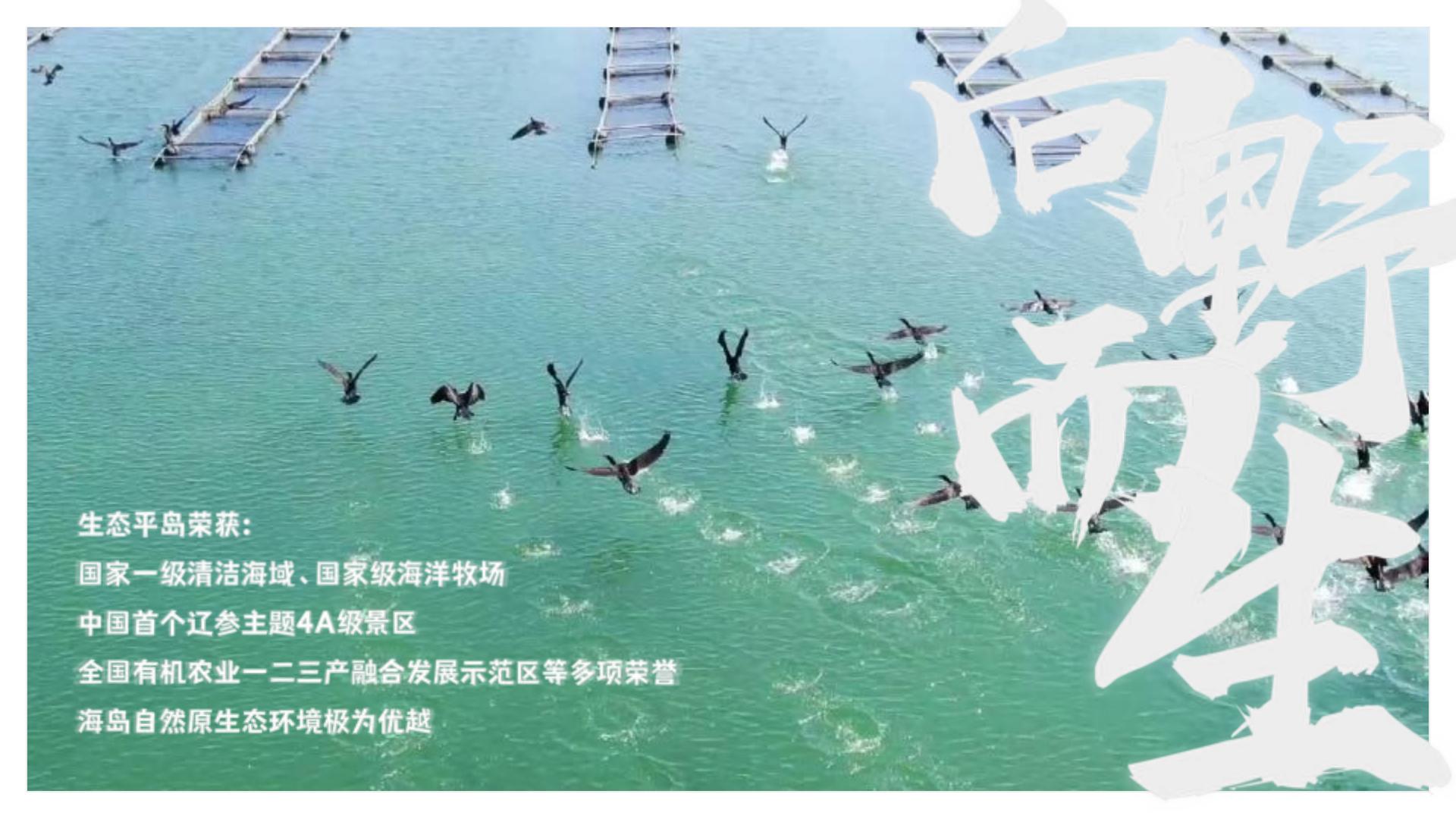2024主题海岛文旅项目内容规划及项目运营报告【旅游IP】【沉浸式文旅打造】.pdf