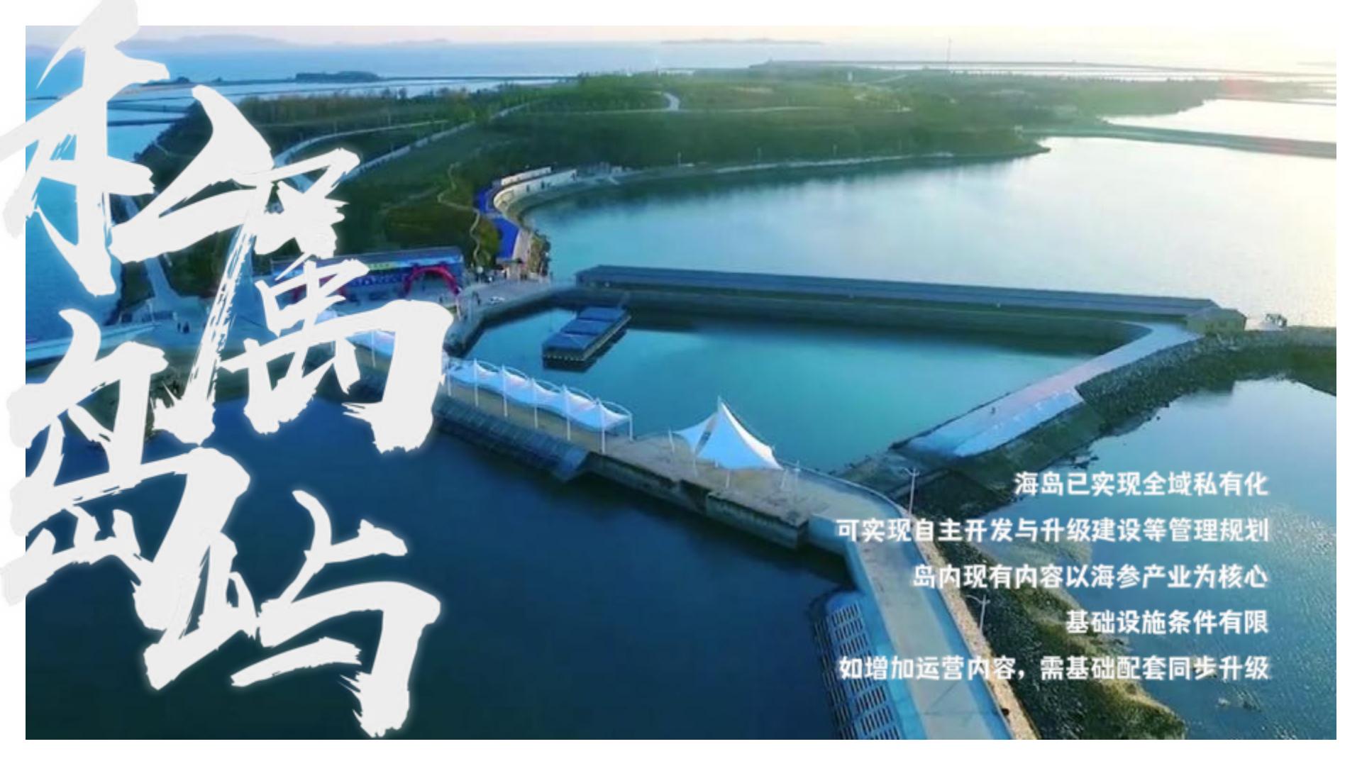2024主题海岛文旅项目内容规划及项目运营报告【旅游IP】【沉浸式文旅打造】.pdf