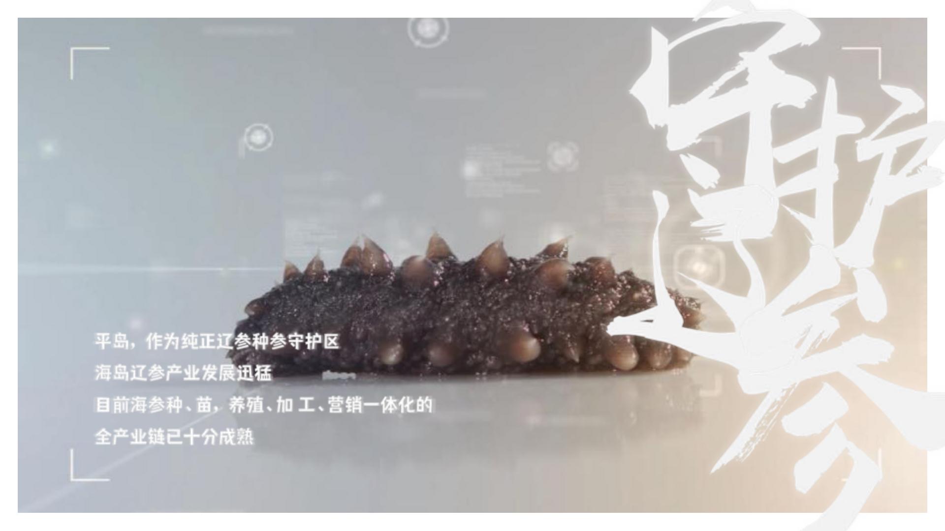 2024主题海岛文旅项目内容规划及项目运营报告【旅游IP】【沉浸式文旅打造】.pdf