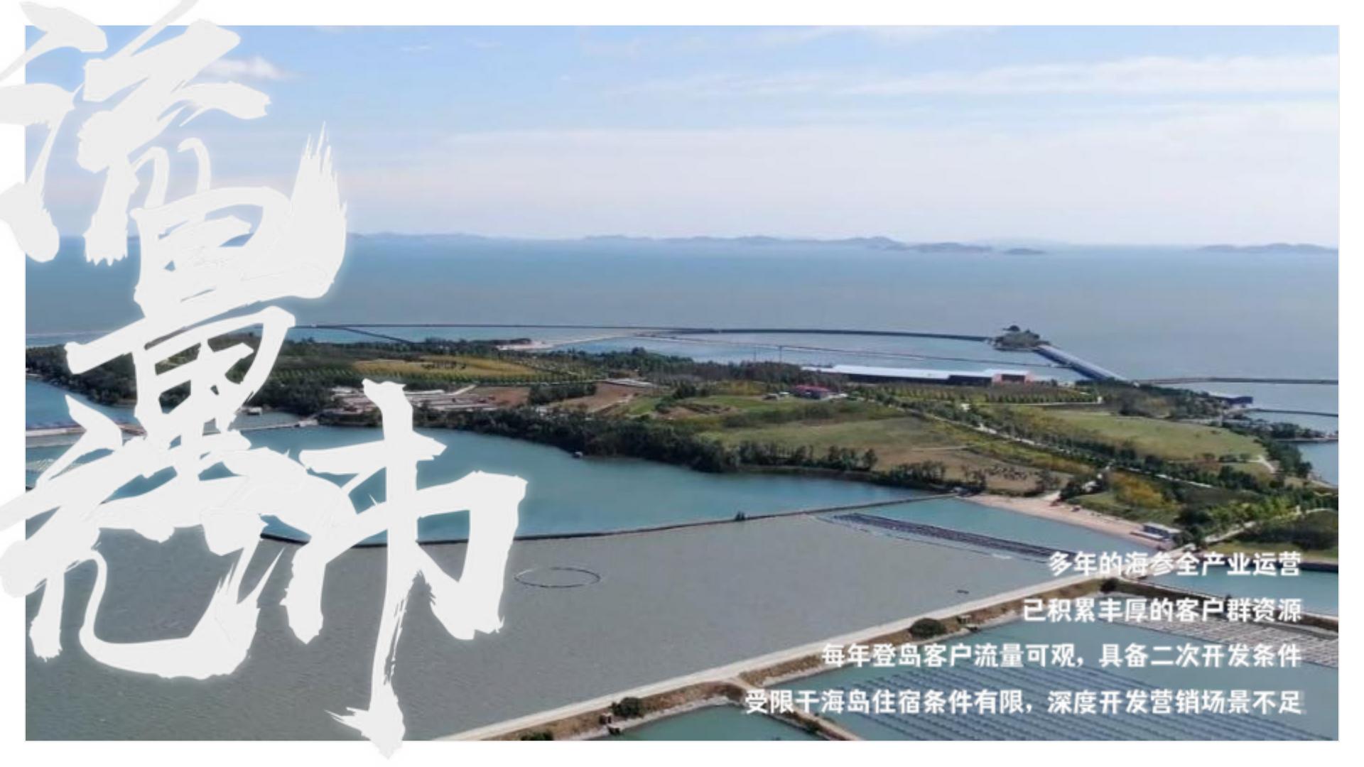 2024主题海岛文旅项目内容规划及项目运营报告【旅游IP】【沉浸式文旅打造】.pdf