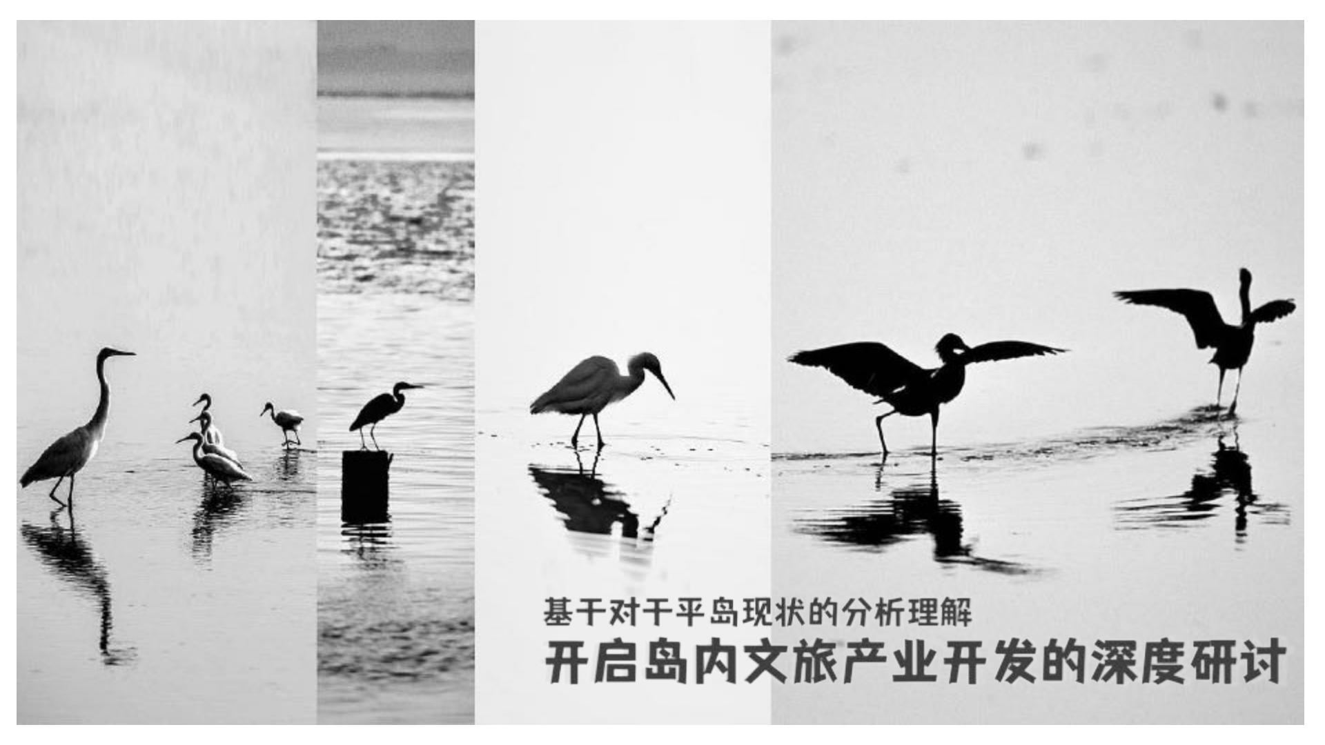 2024主题海岛文旅项目内容规划及项目运营报告【旅游IP】【沉浸式文旅打造】.pdf