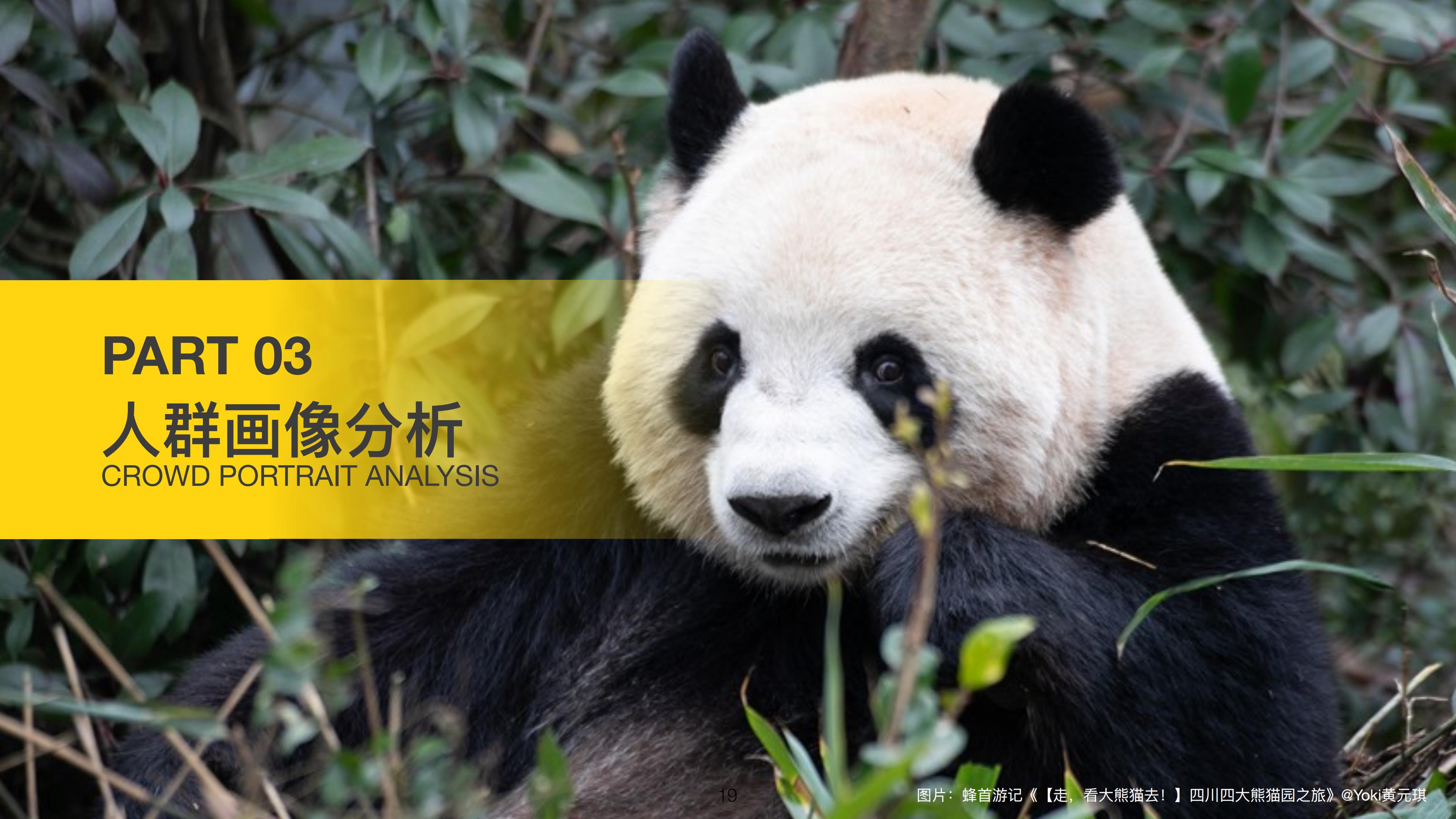 2024春节旅游大数据报告-马蜂窝.pdf