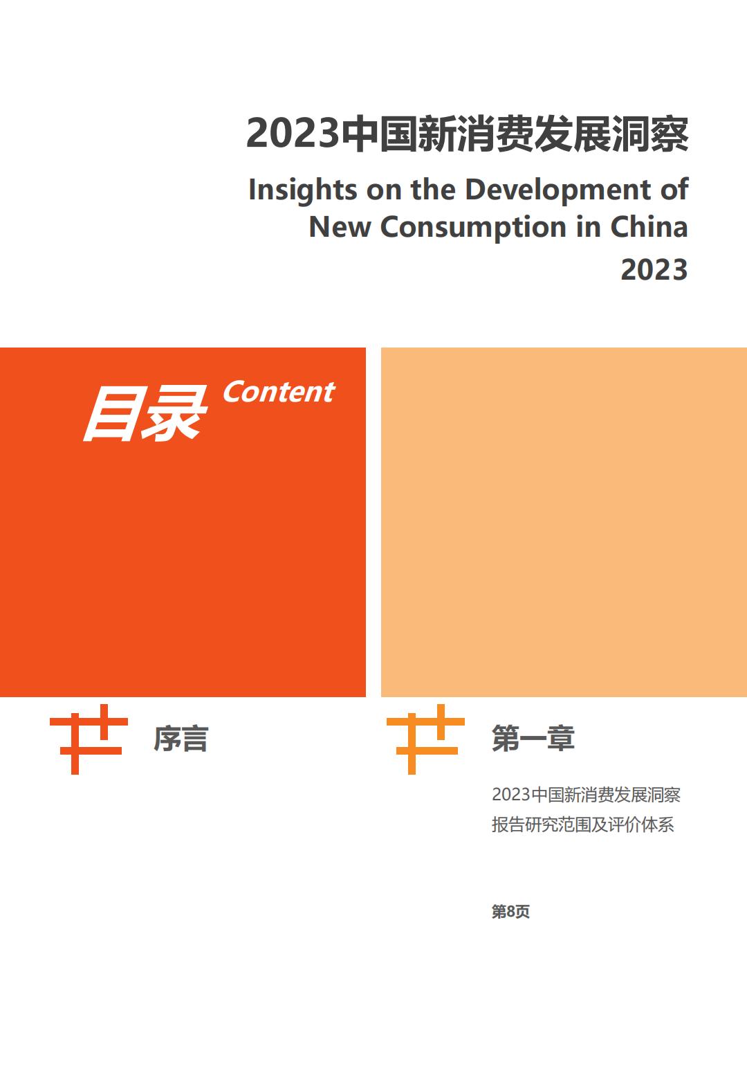 2023中国新消费发展洞察暨品牌力榜单-亿欧智库.pdf