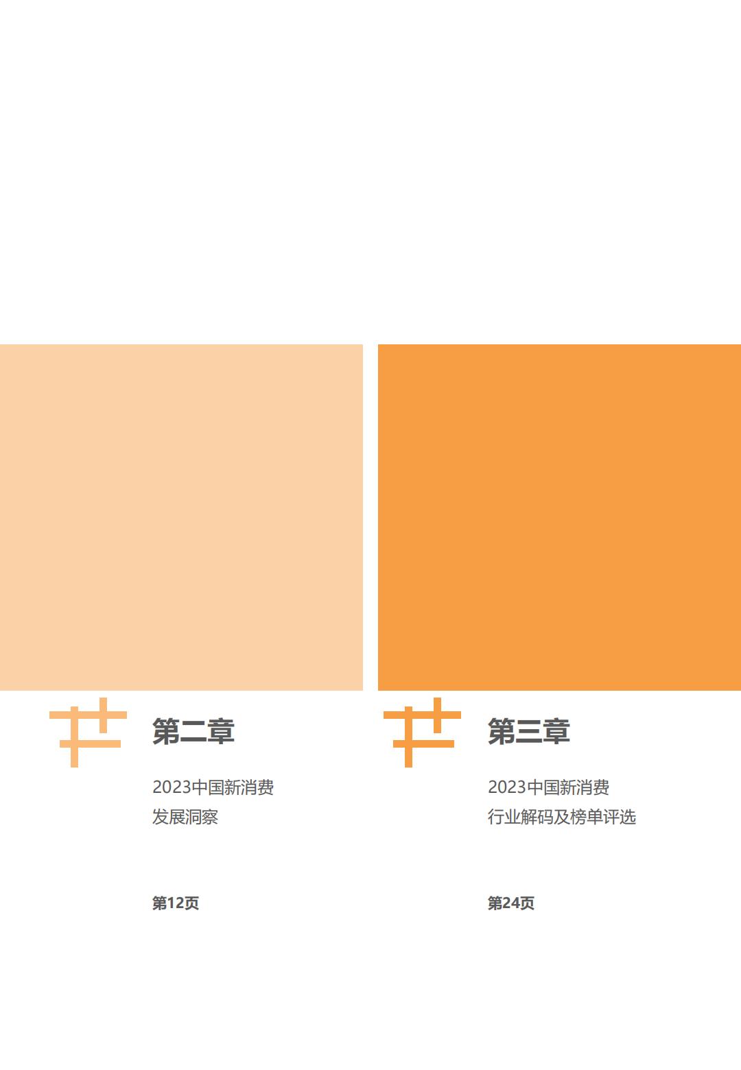 2023中国新消费发展洞察暨品牌力榜单-亿欧智库.pdf