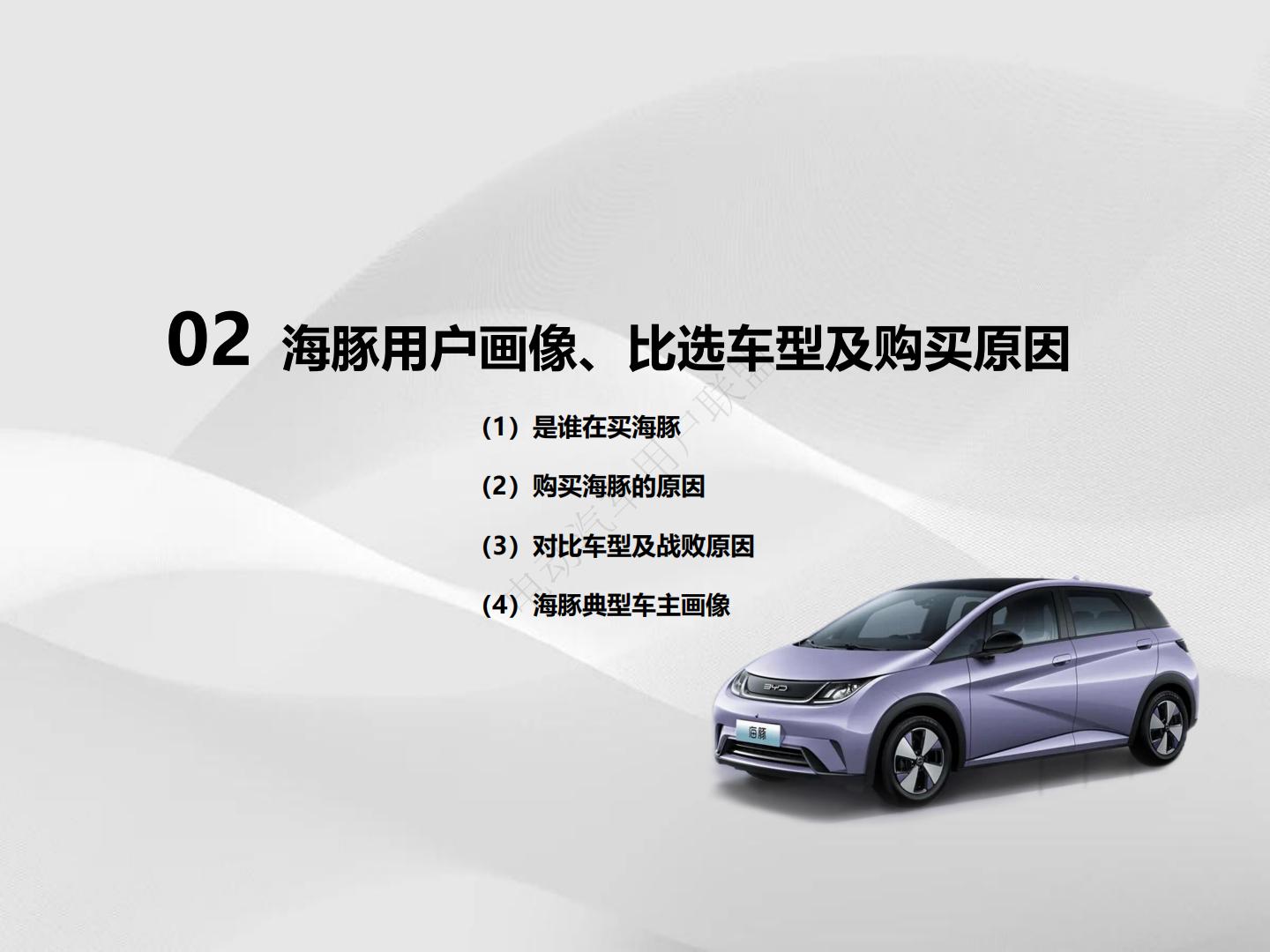 电动汽车用户联盟：2024比亚迪海豚用户满意度报告.pdf