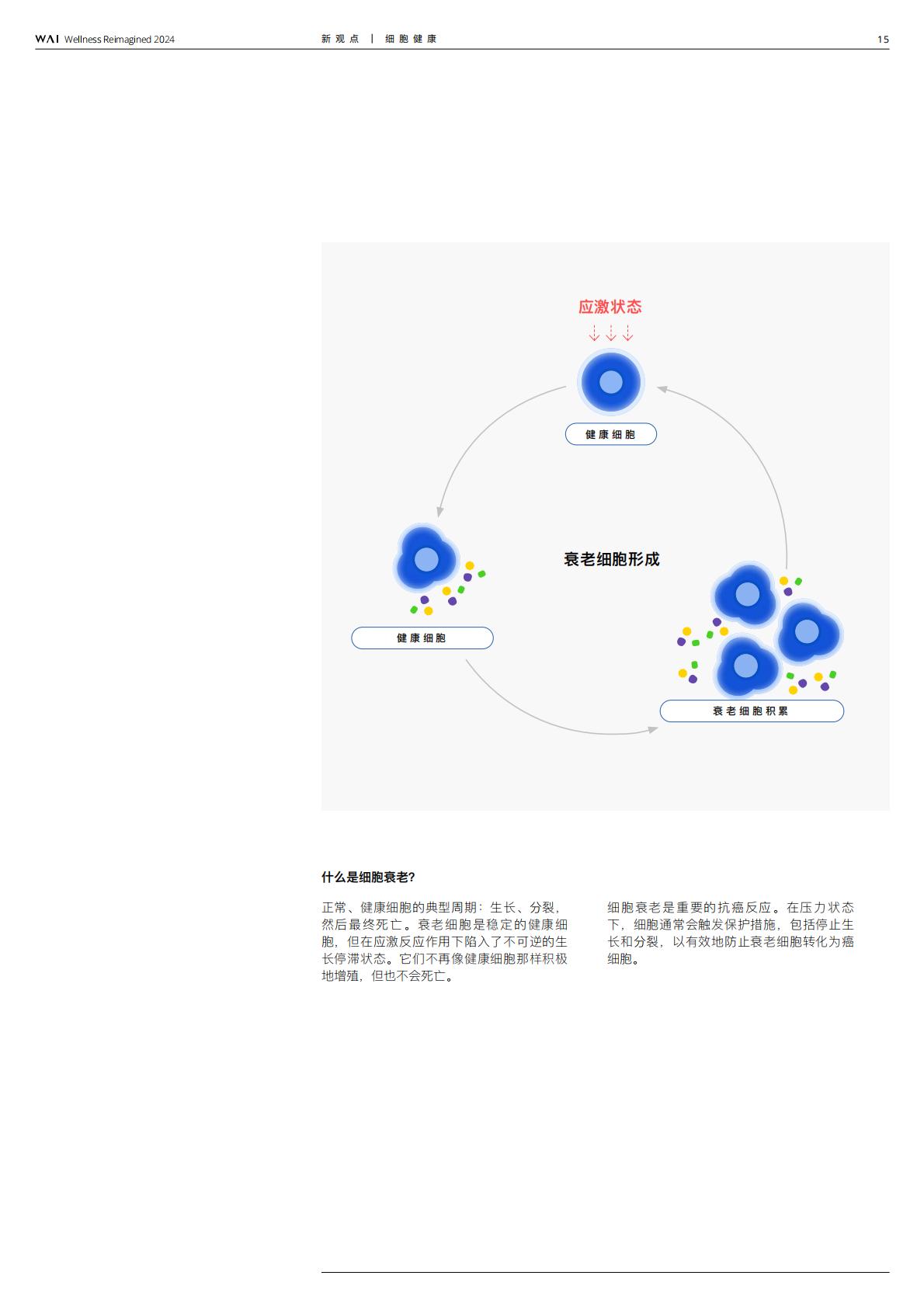 2024源健康年度报告—第一期长寿专题-源健康研究院.pdf