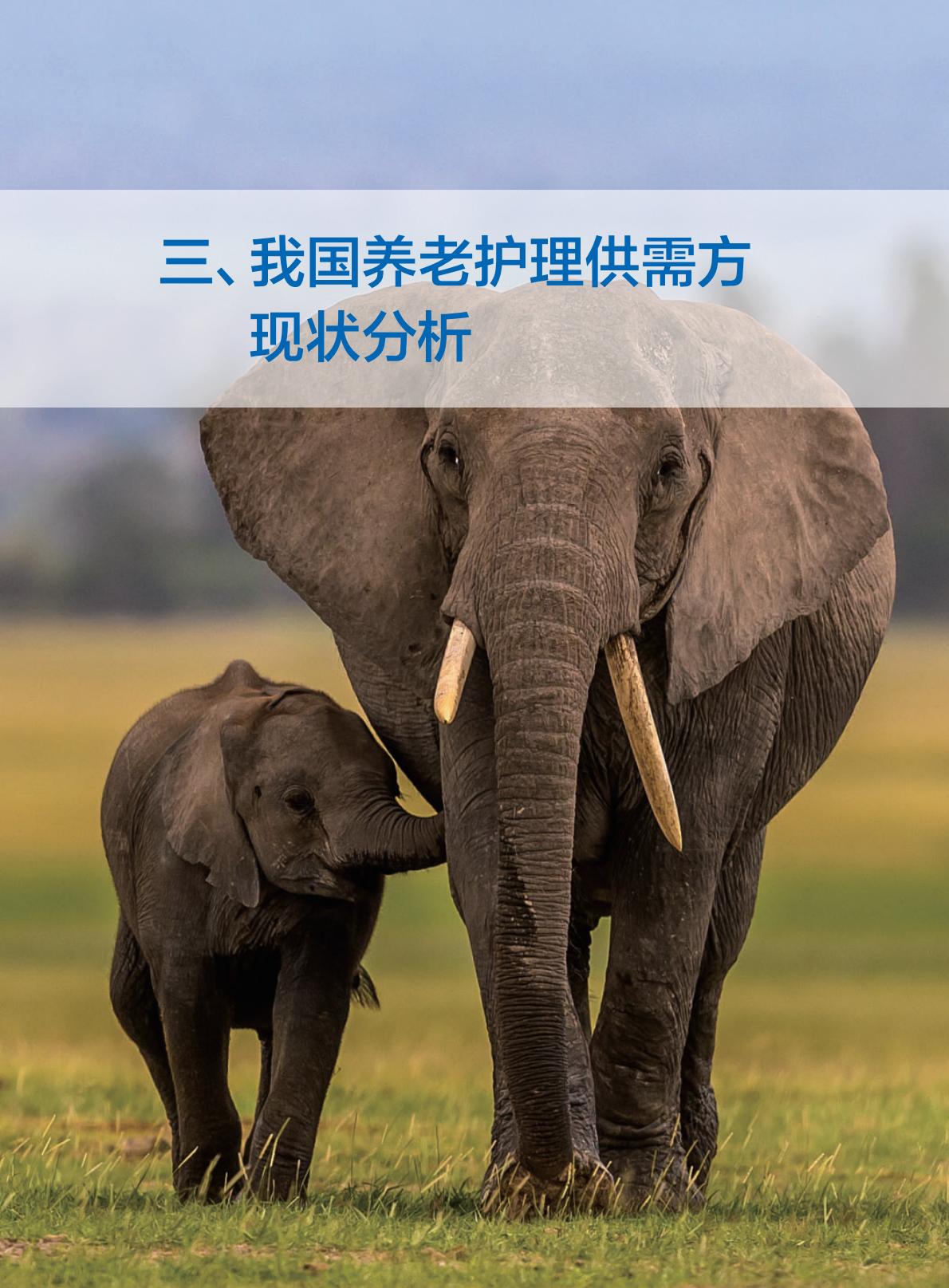 中国商业长期护理保险 发展模式和实践研究报告-84页.pdf
