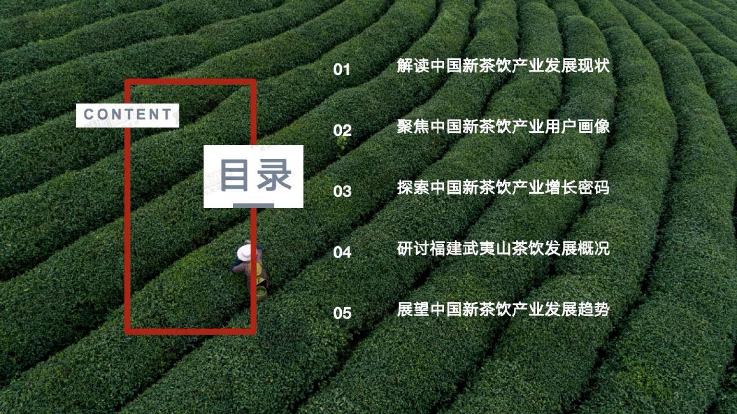 2023国潮新茶饮产业发展洞察报告-观潮新消费-2023-60页.pdf