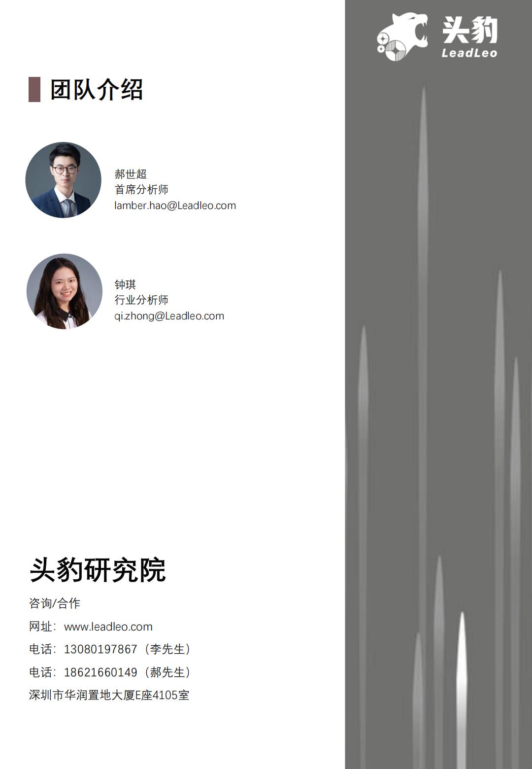 2024年中国补充维生素类保健食品行业概览报告：银发经济兴起，维生素补充剂前景广阔-头豹-202408-21页.pdf