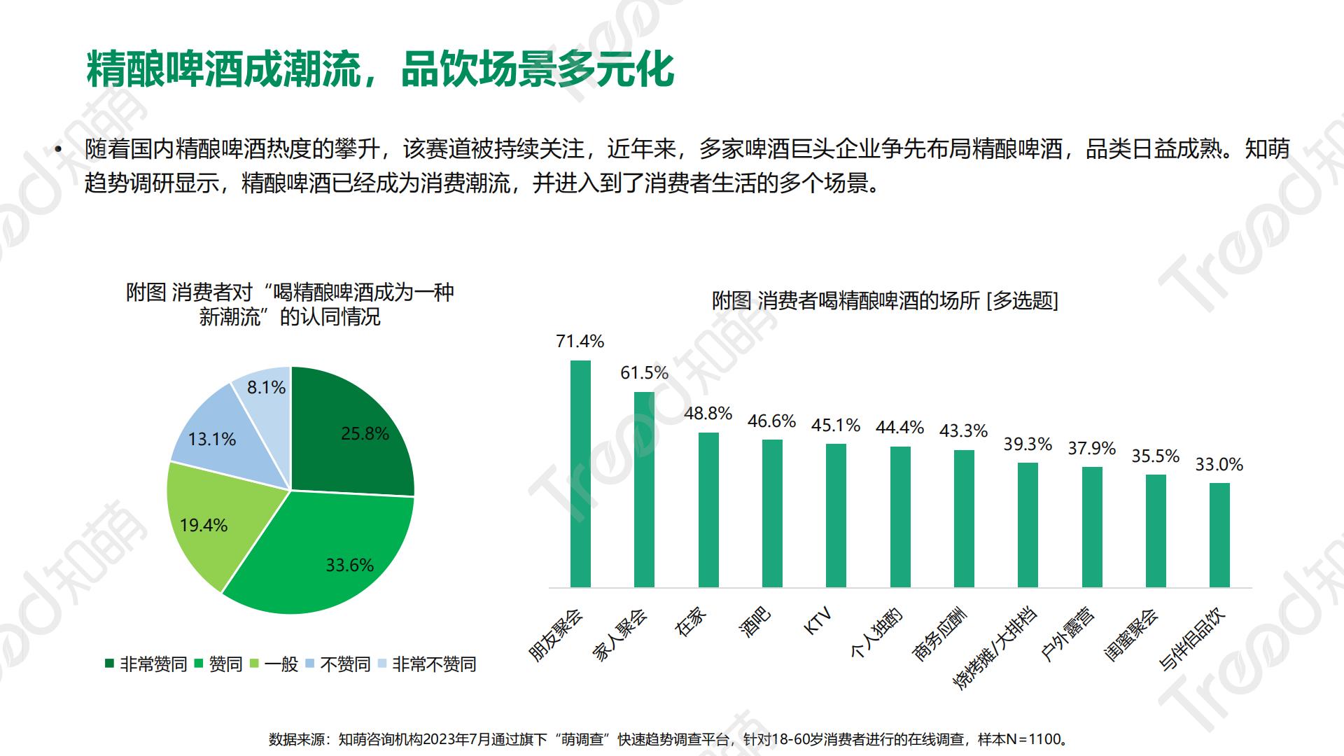 2023啤酒消费趋势洞察报告-41页.pdf