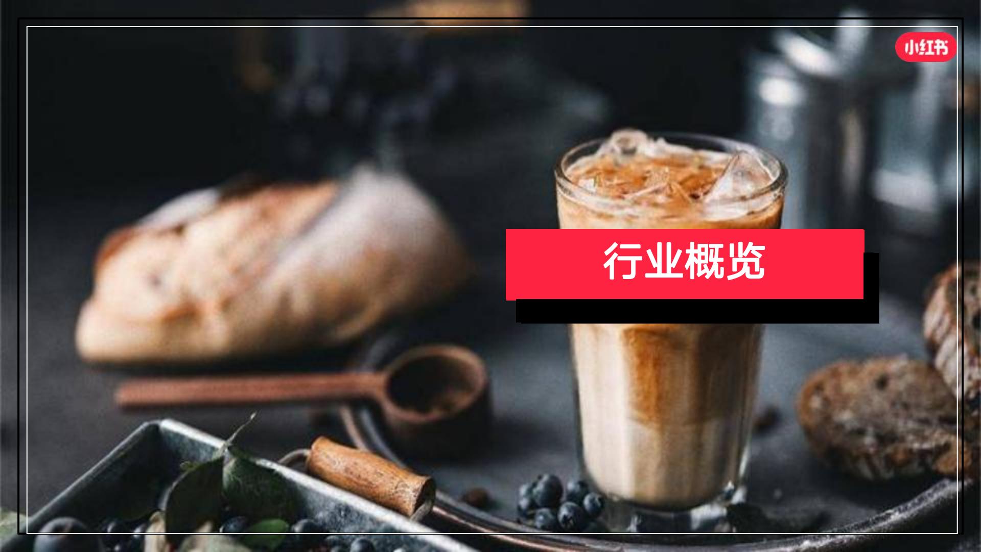 小红书2024年休闲食饮行业月报-2月.pdf
