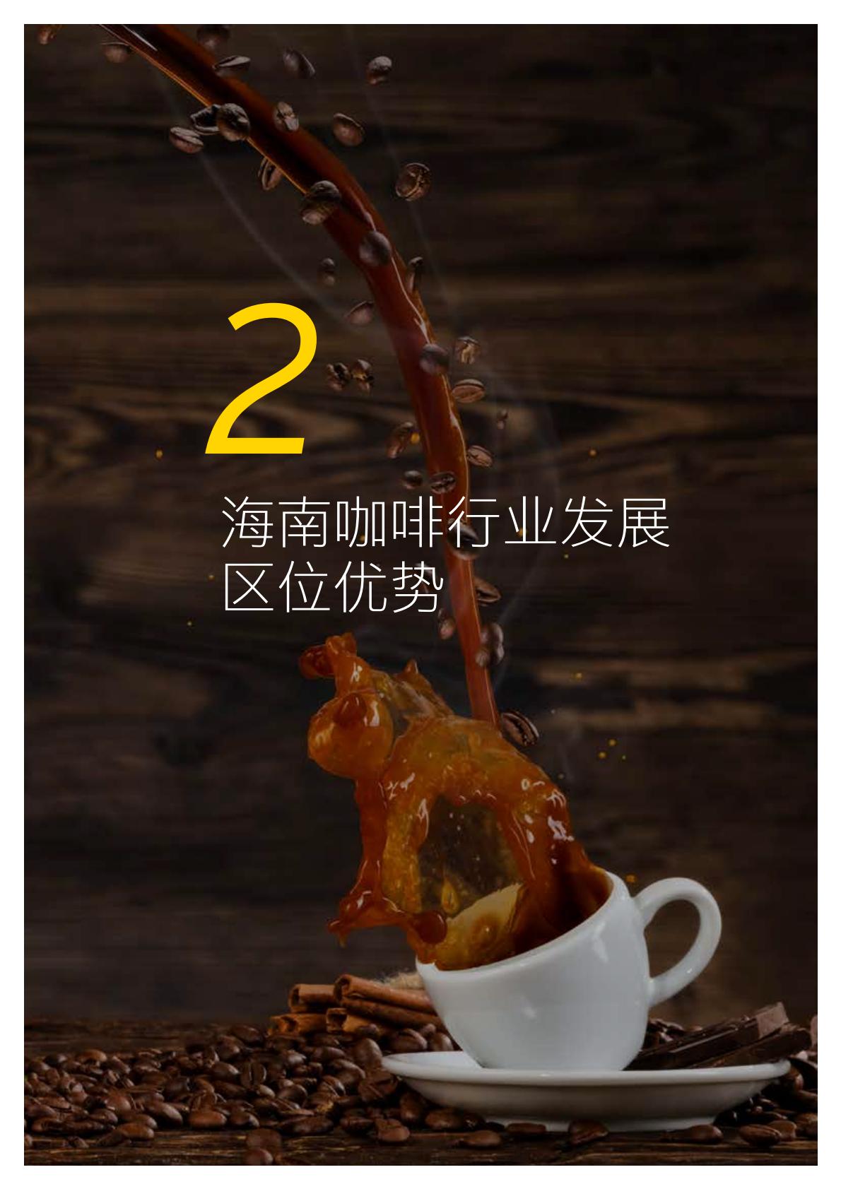 机遇2023海南咖啡行业白皮书 海南咖啡产业发展及国际新型专业市场建设指南.pdf