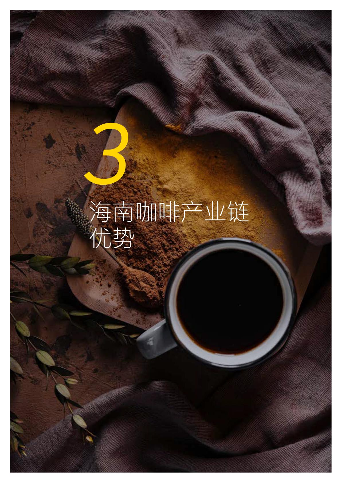 机遇2023海南咖啡行业白皮书 海南咖啡产业发展及国际新型专业市场建设指南.pdf