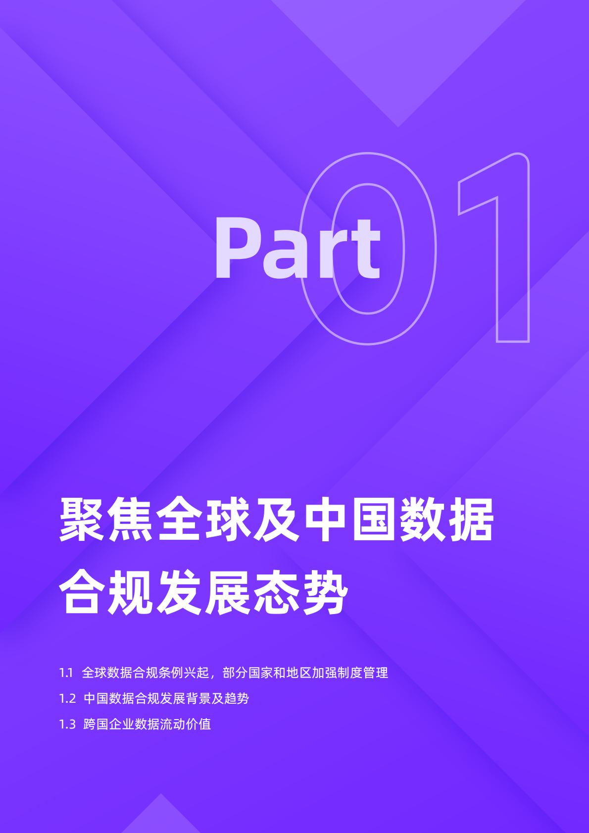 径硕科技：跨境数据合规白皮书.pdf