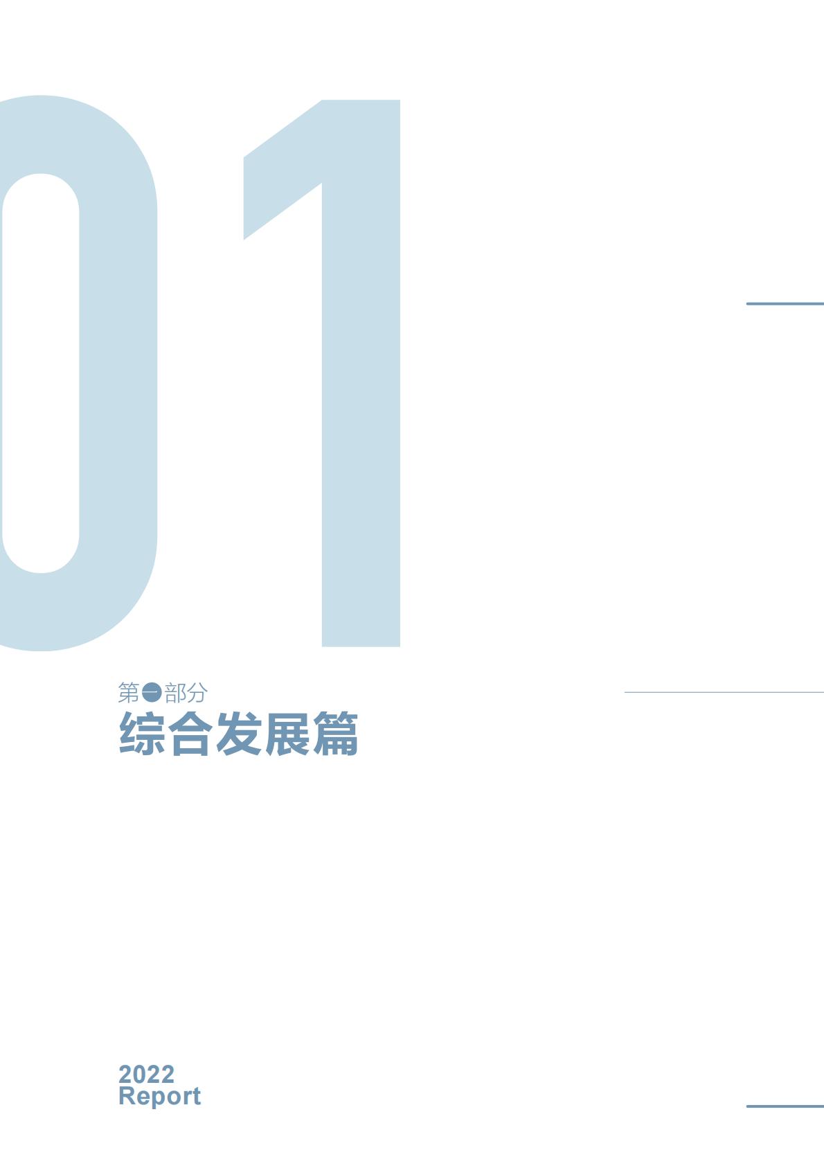 商务部研究院发布《中国自由贸易试验区发展报告（2022）》.pdf