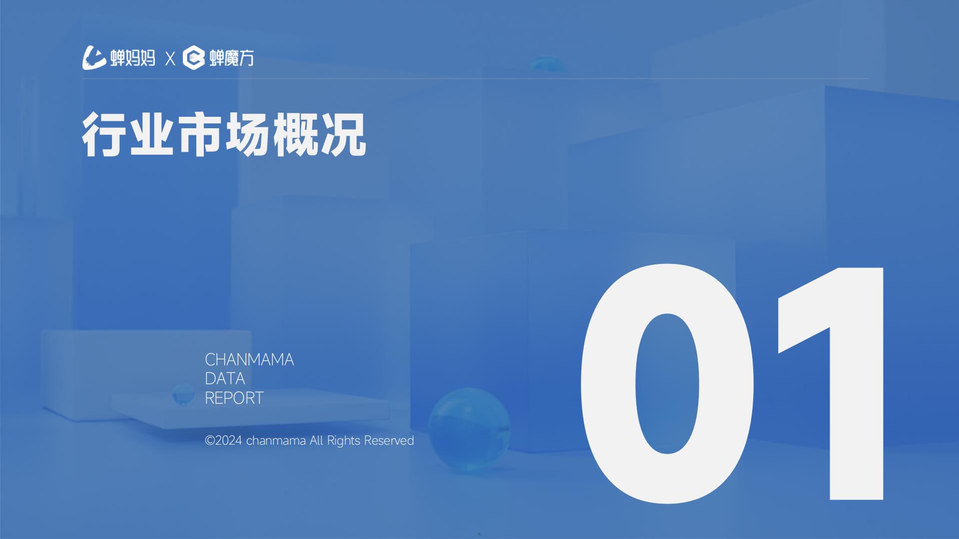 2024抖音电商一次性用品消费趋势报告—次抛生活图鉴-蝉妈妈-202405-30页.pdf