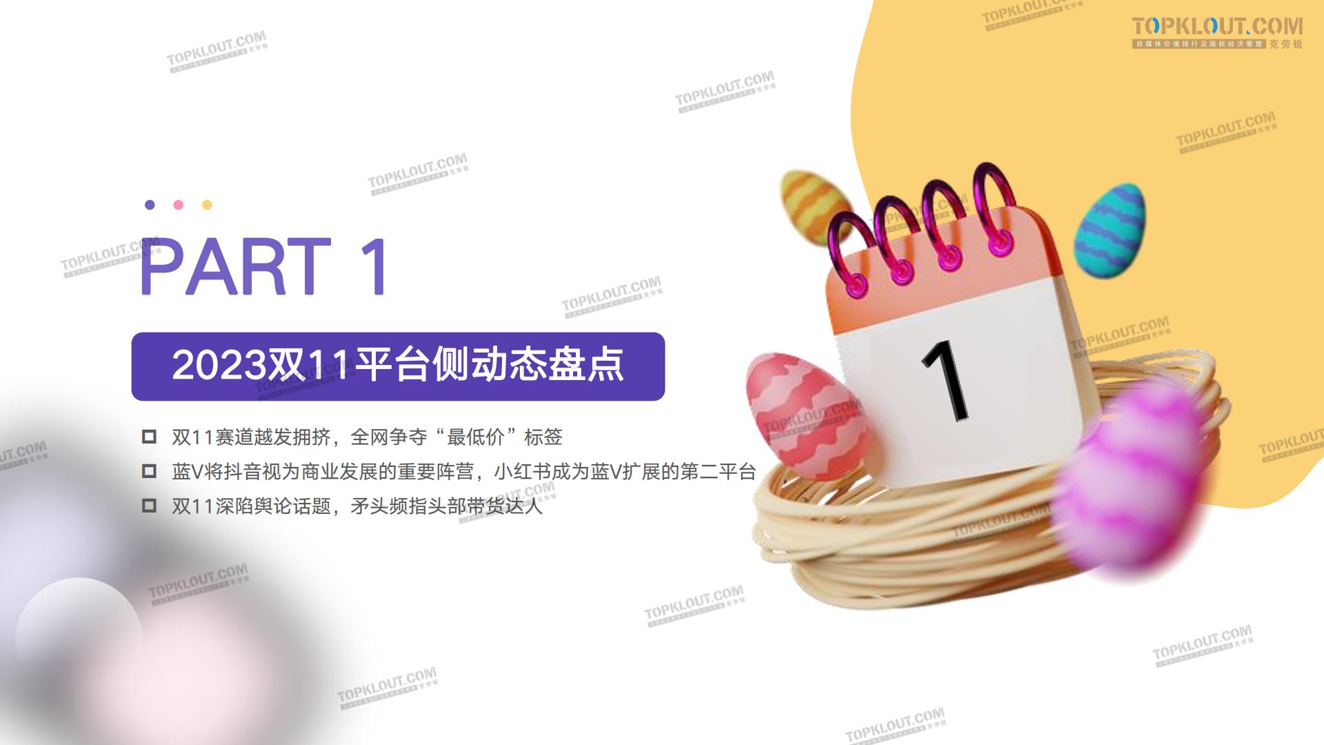 2023年双11购物节消费观察报告.pdf