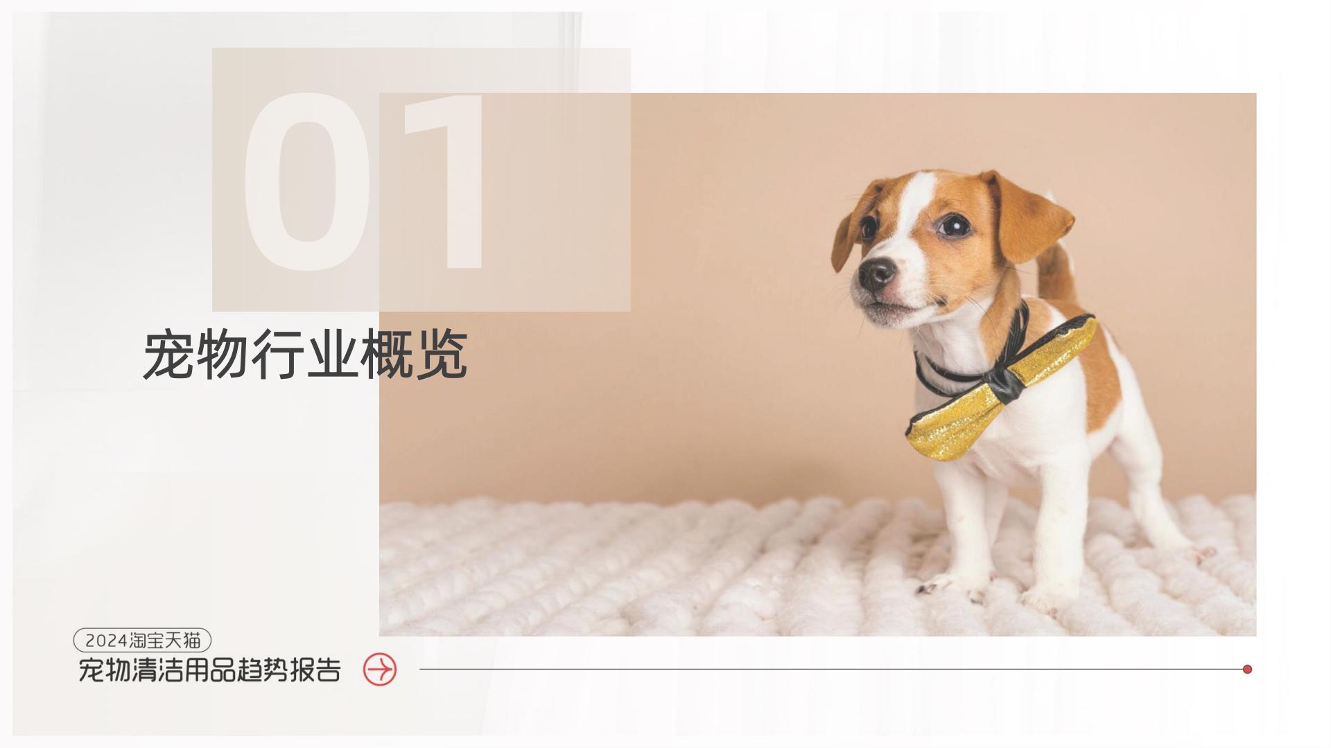 2024淘宝天猫宠物清洁用品趋势报告：养宠经济火热依旧宠物清洁市场趋势飙升-阿里妈妈热点指南VOL.17.pdf