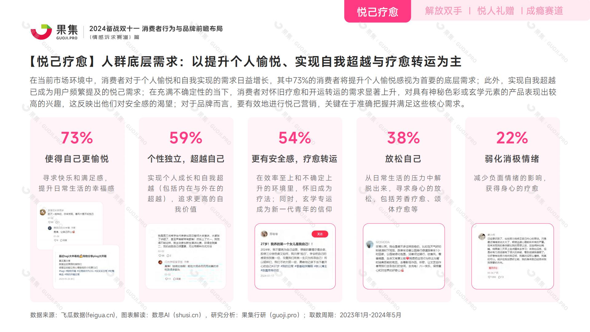 【情感诉求赛道】2024备战双十一：消费者行为与品牌前瞻布局.pdf