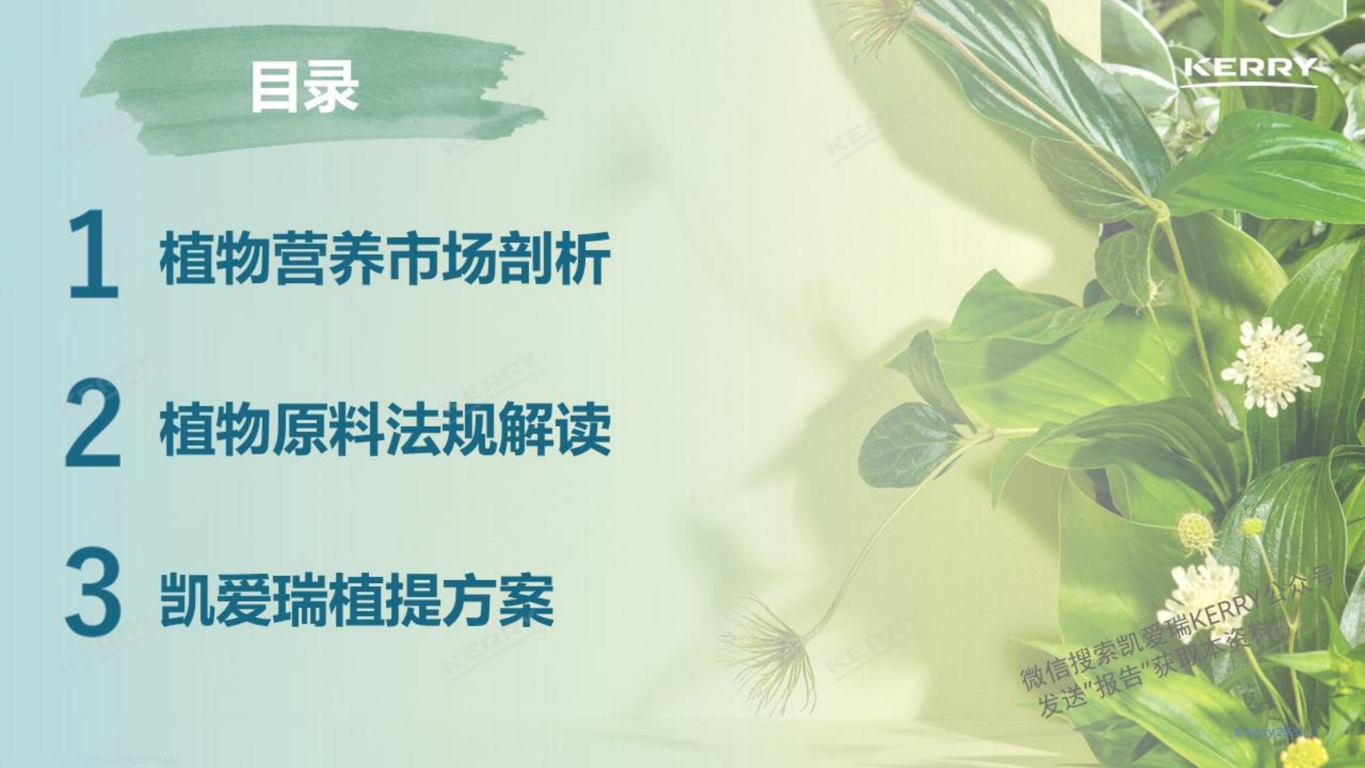 探索植物营养新潜能-kerry.pdf