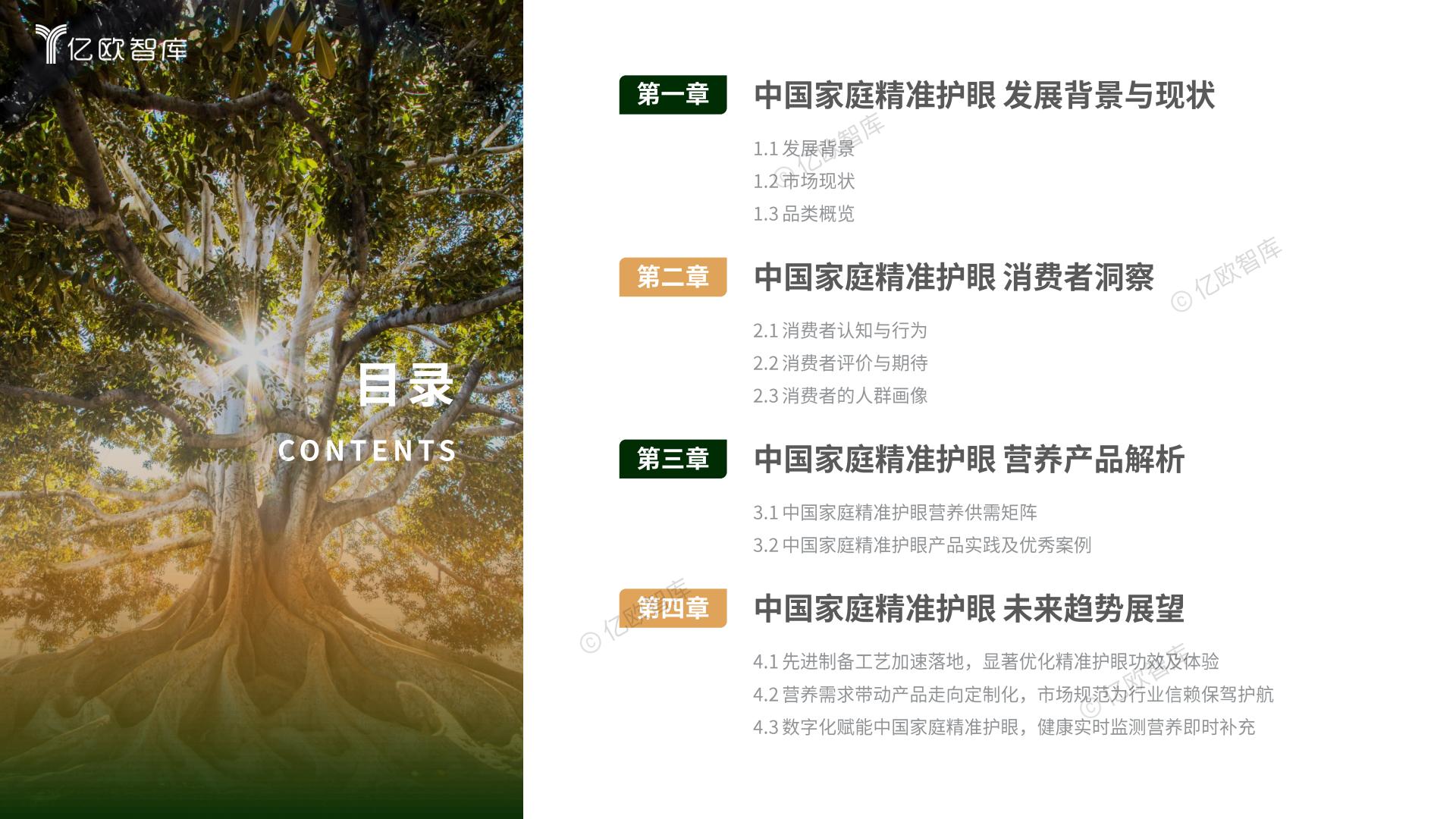2024中国家庭精准护眼营养白皮书-亿欧智库.pdf