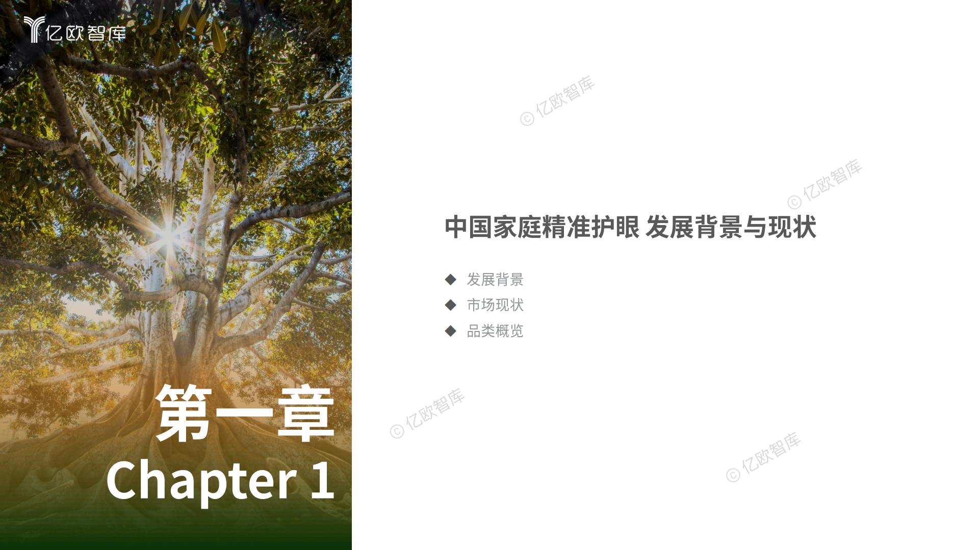 2024中国家庭精准护眼营养白皮书-亿欧智库.pdf