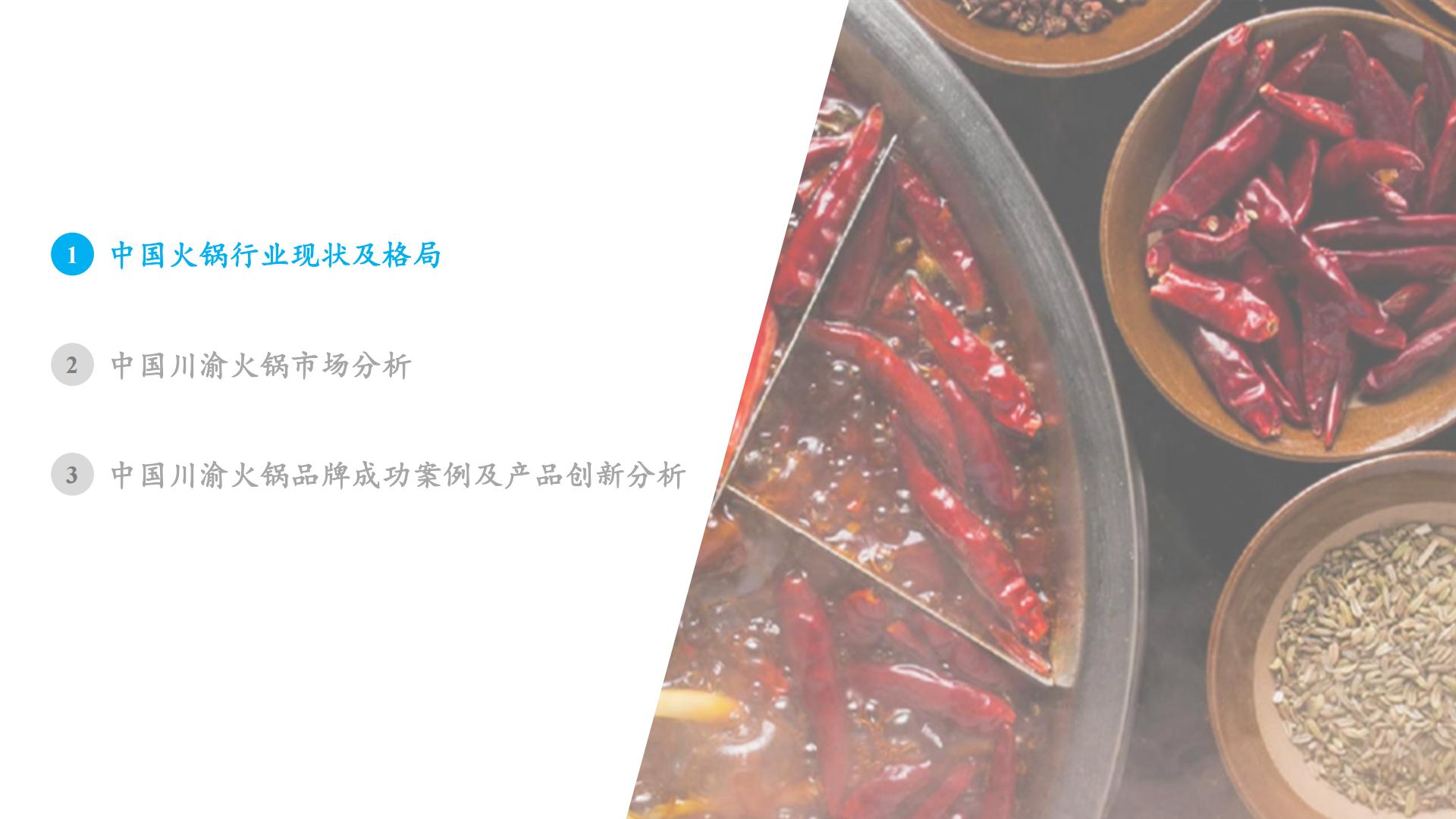 2024年中国火锅行业发展白皮书.pdf