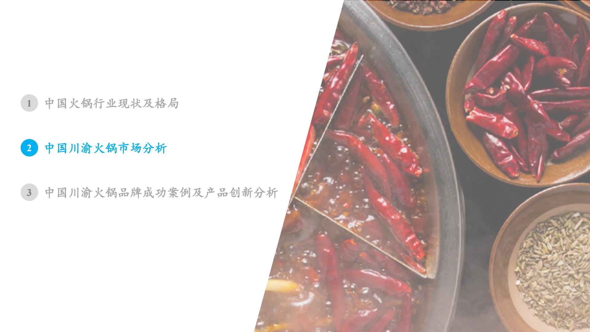 2024年中国火锅行业发展白皮书.pdf
