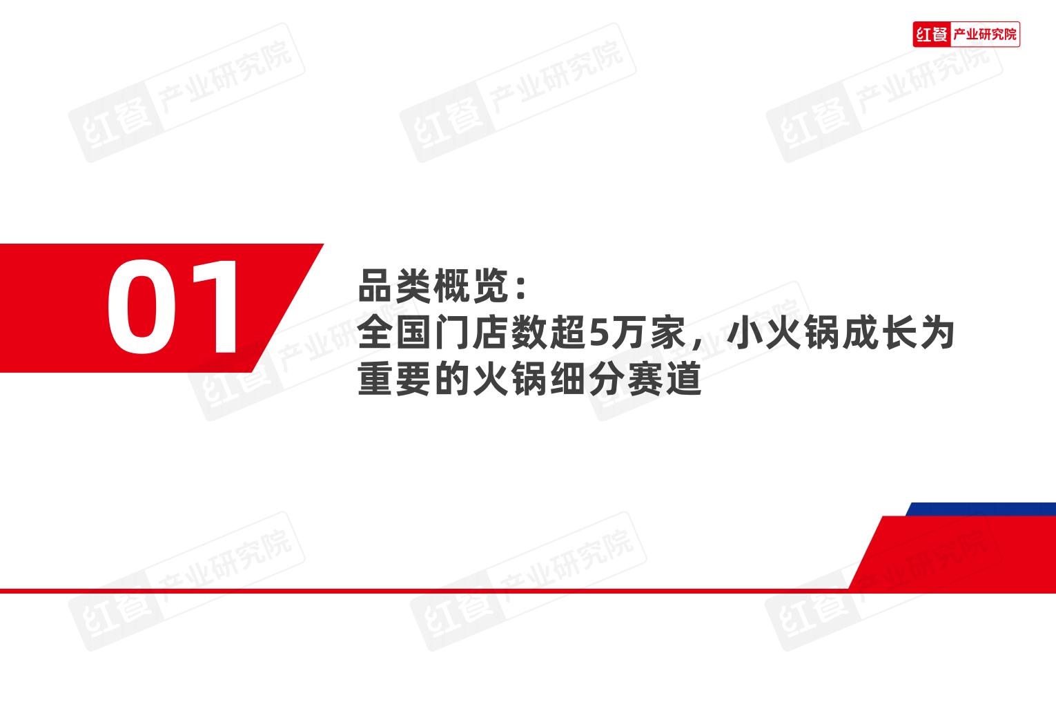 小火锅品类发展报告2024.pdf