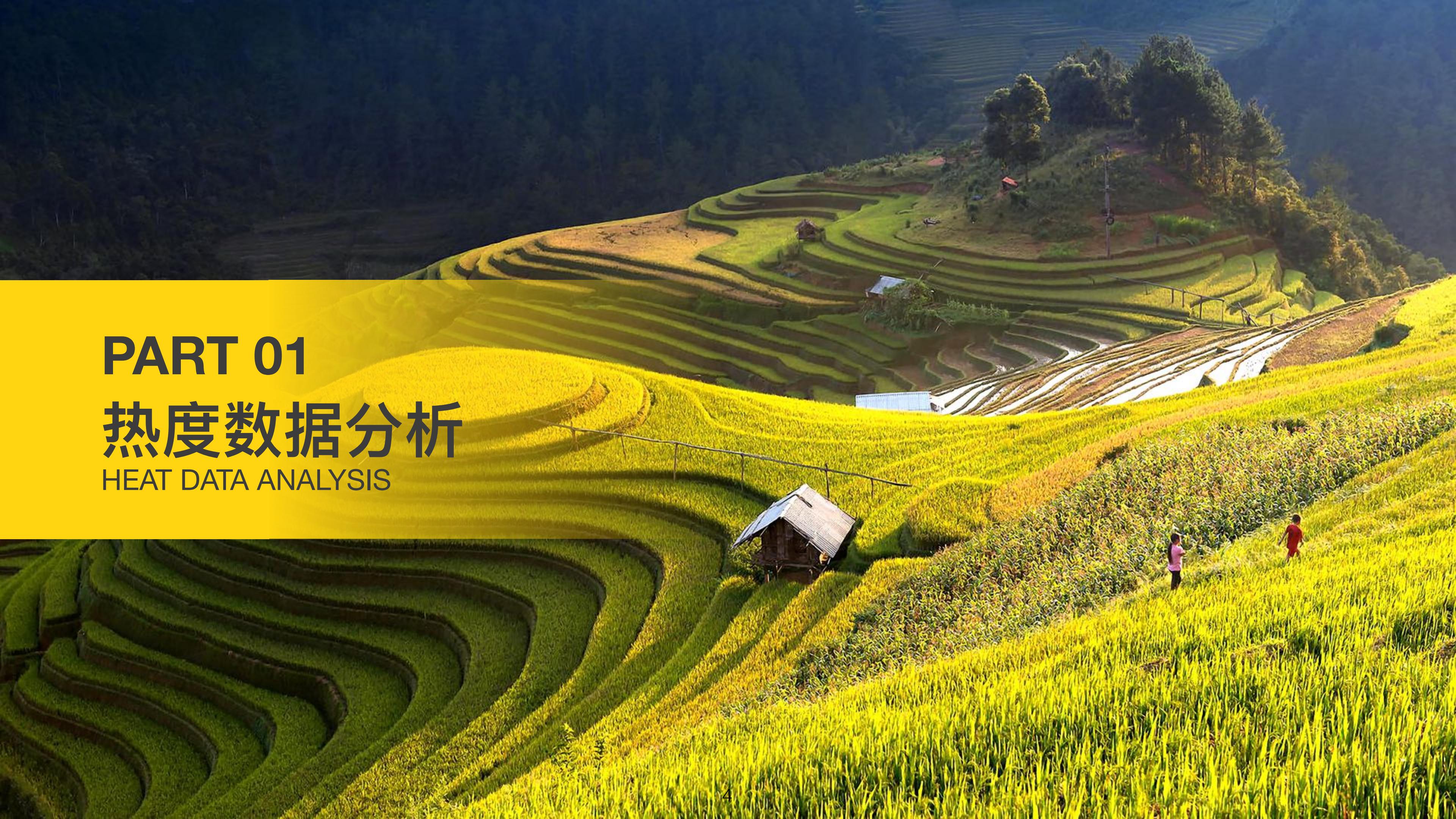 2024年旅游大数据系列报告暑期-马蜂窝.pdf