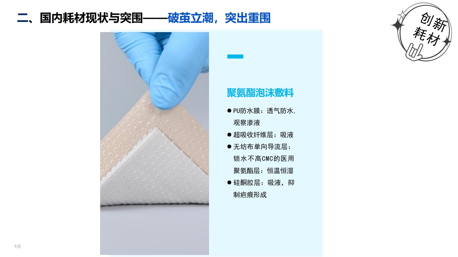盛久（张艳）：中国家用耗材现状与未来养老护理.pdf