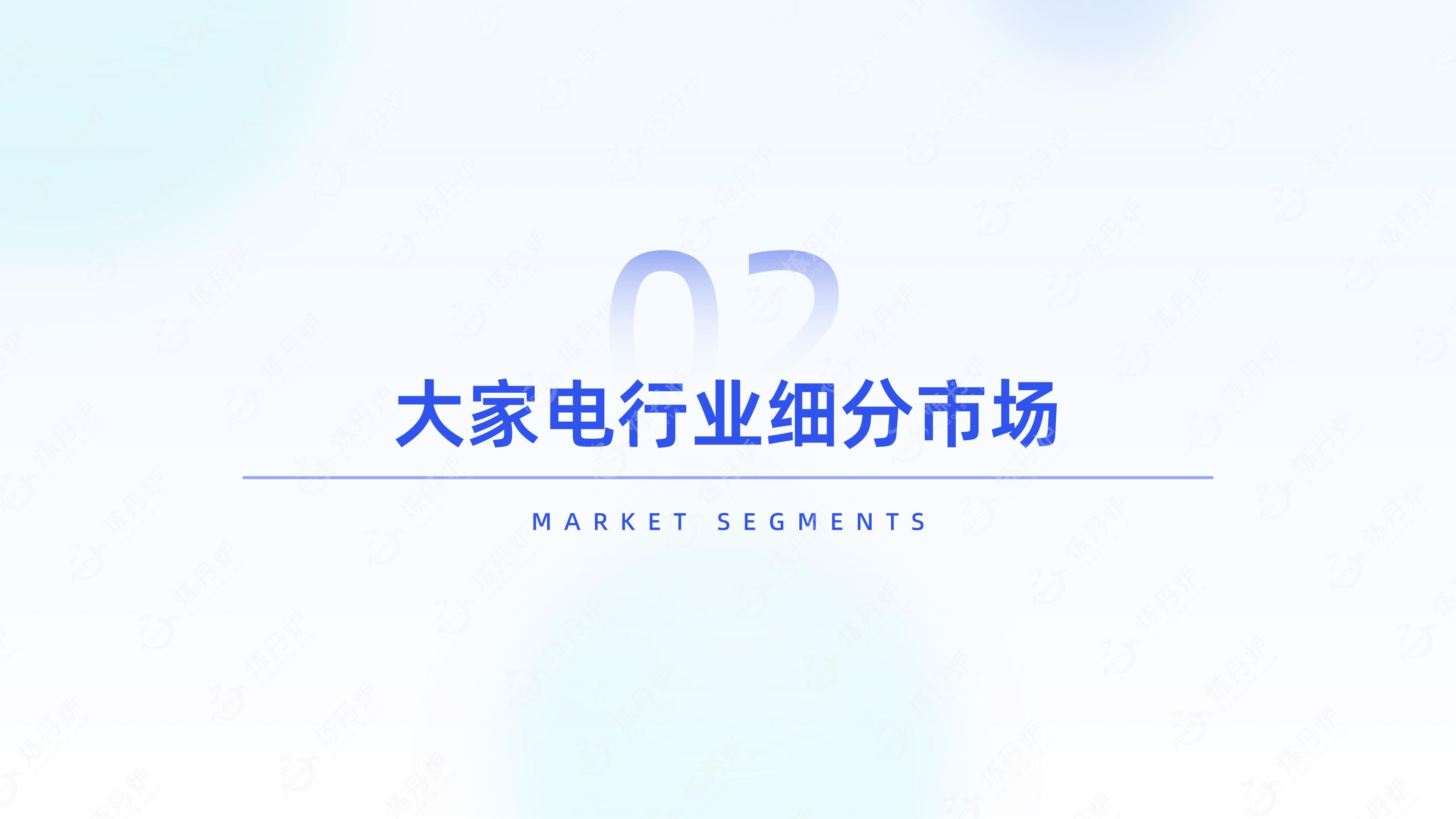 2024大家电行业分析报告.pdf
