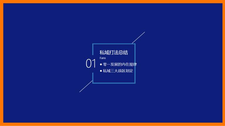 3大私域实战案例总结.pdf