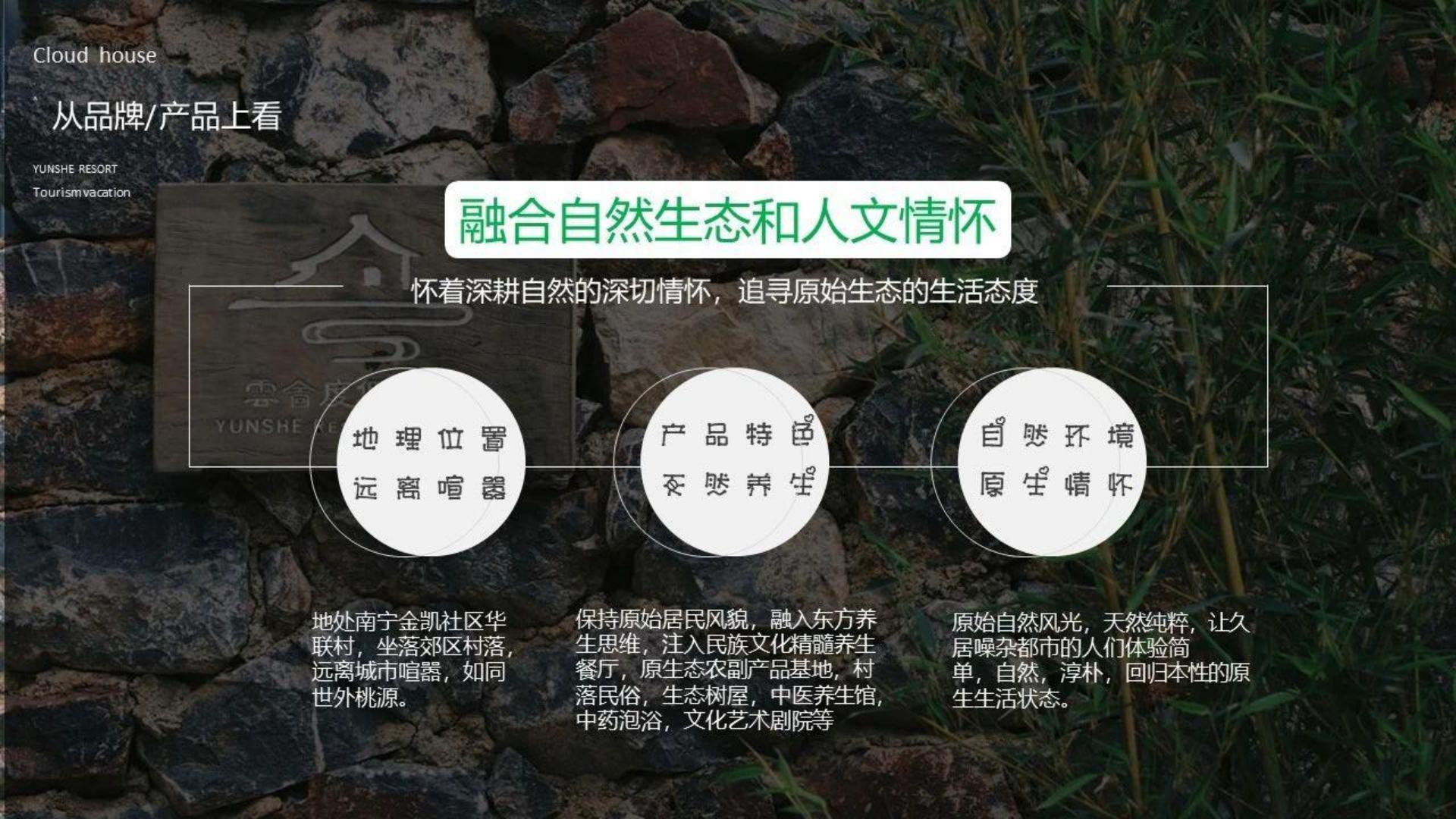 2025旅游度假村落年度品牌营销方案【旅游】【年度推广】.pdf